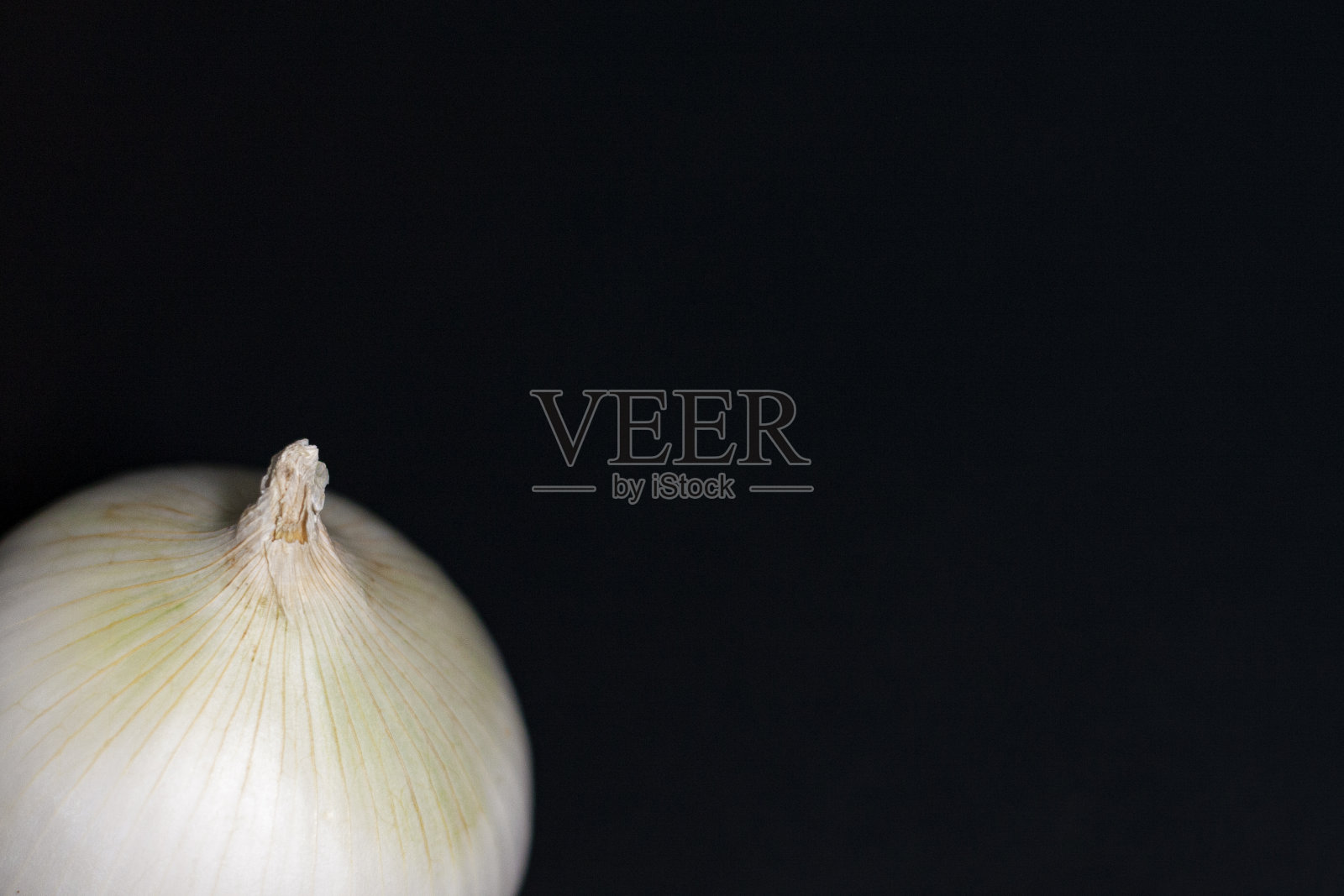 屏幕左下角有一个去皮的白色洋葱头。照片摄影图片