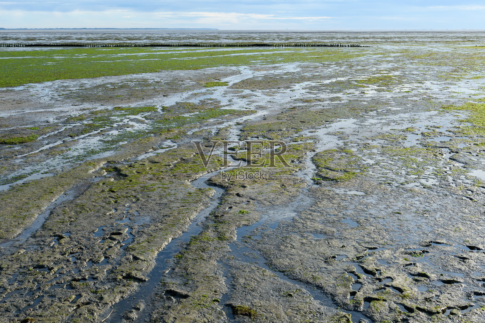 德国石勒苏益格-荷尔斯泰因，北海，北弗里斯兰岛，阿姆鲁姆岛，瓦登海退潮时照片摄影图片