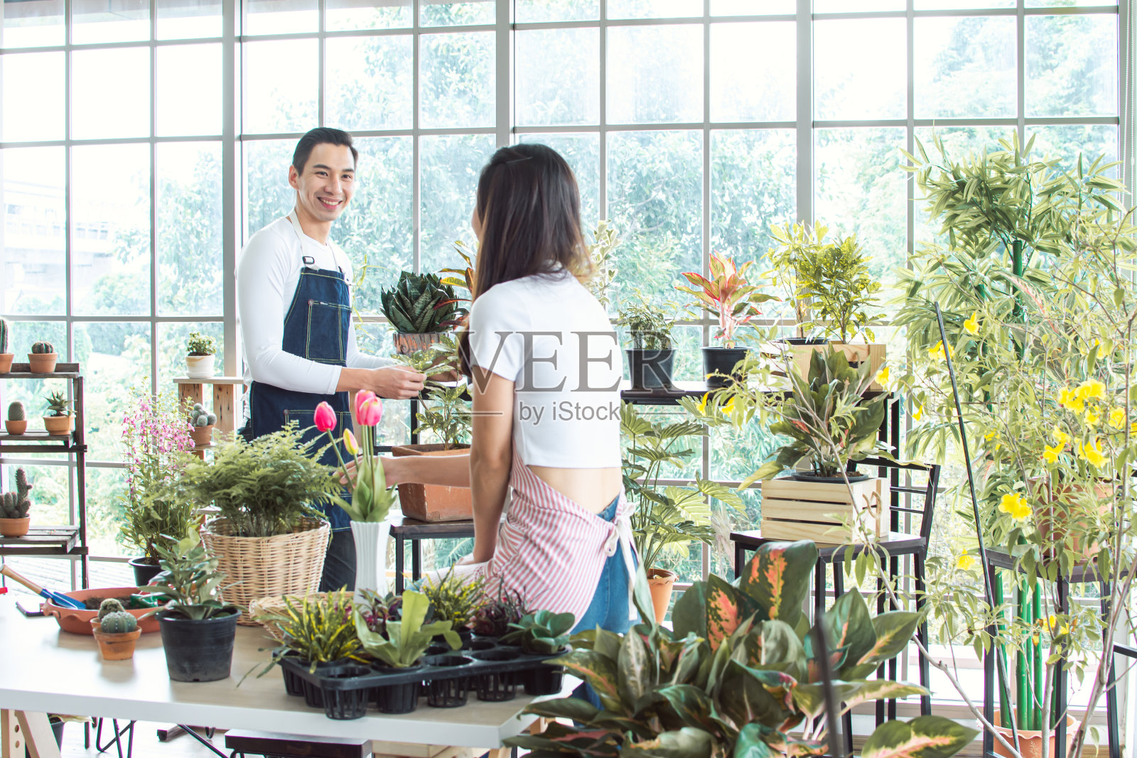 年轻夫妇在家里一起种花照片摄影图片