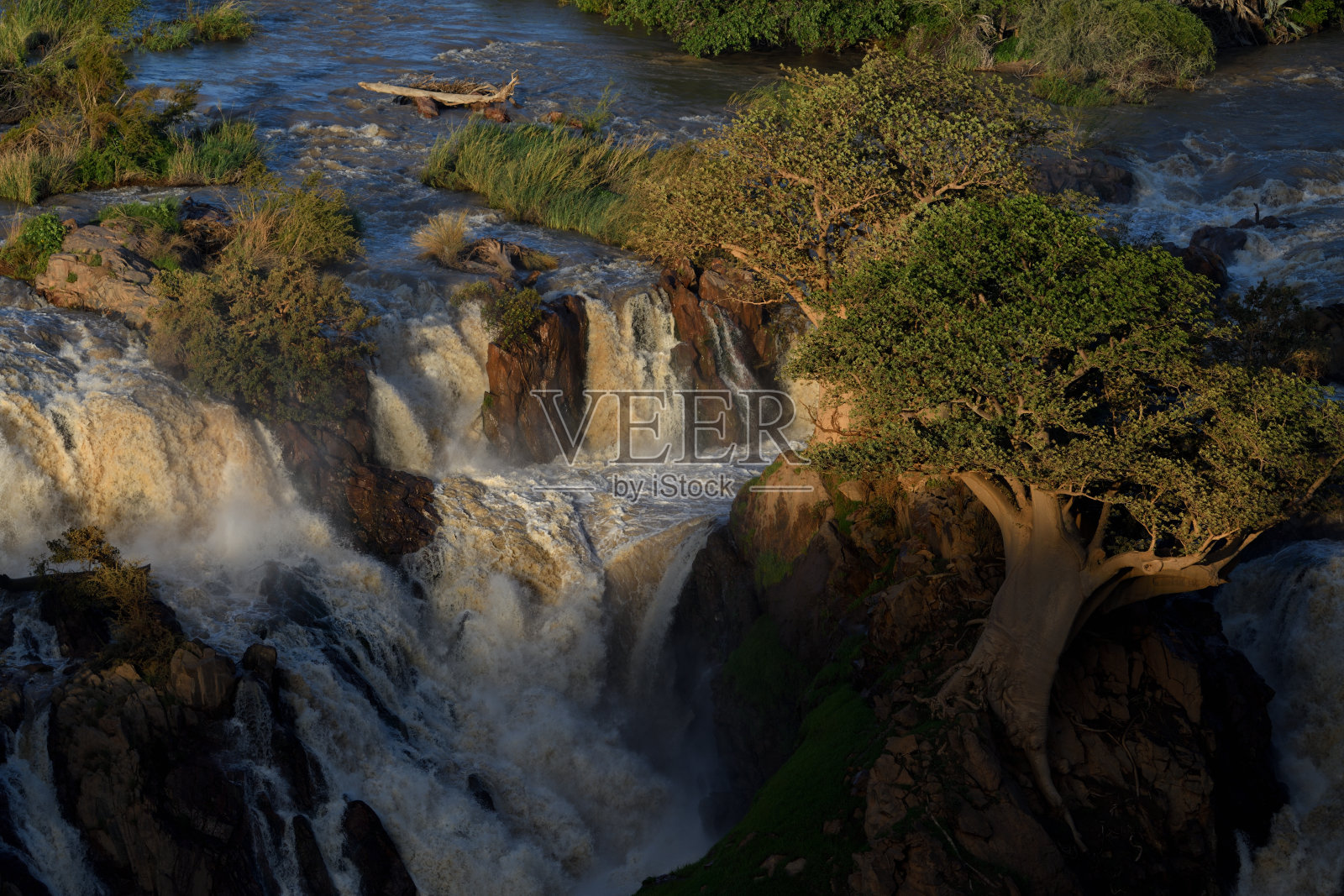纳米比亚考科克兰伊帕瀑布的树照片摄影图片