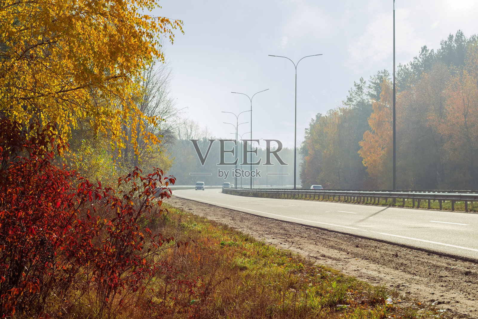 高速公路弯道前，秋季两侧有森林照片摄影图片