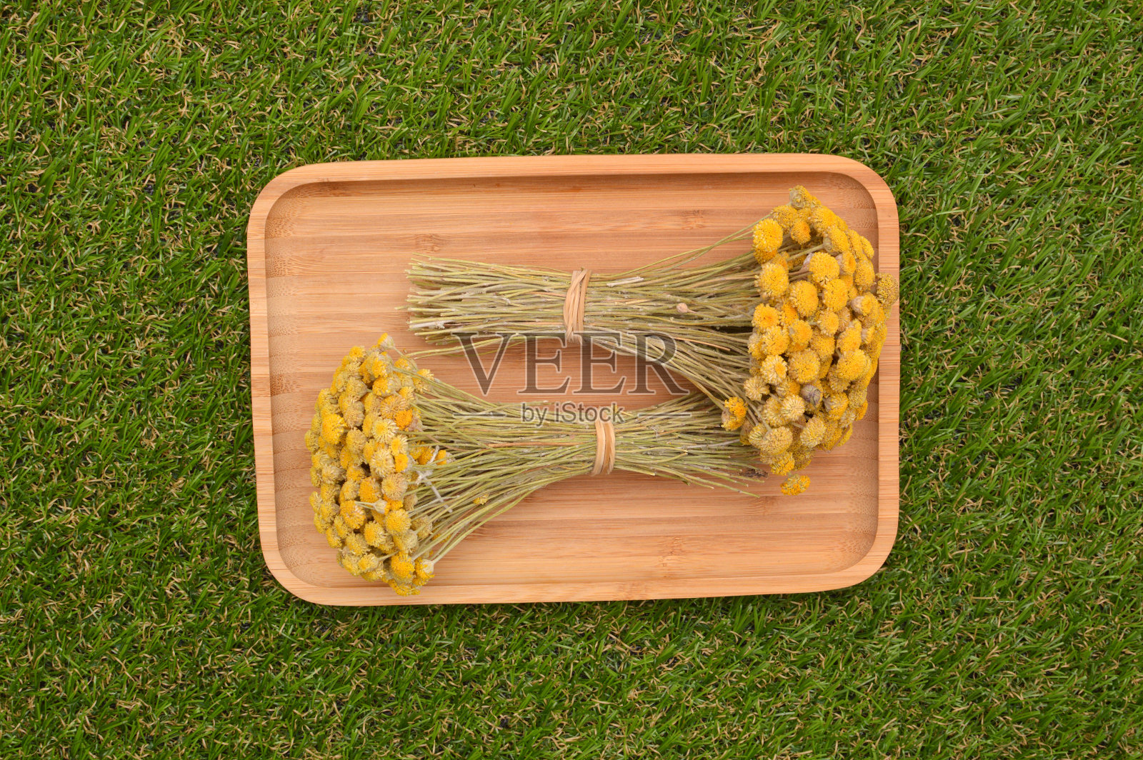 新鲜采摘菊花照片摄影图片