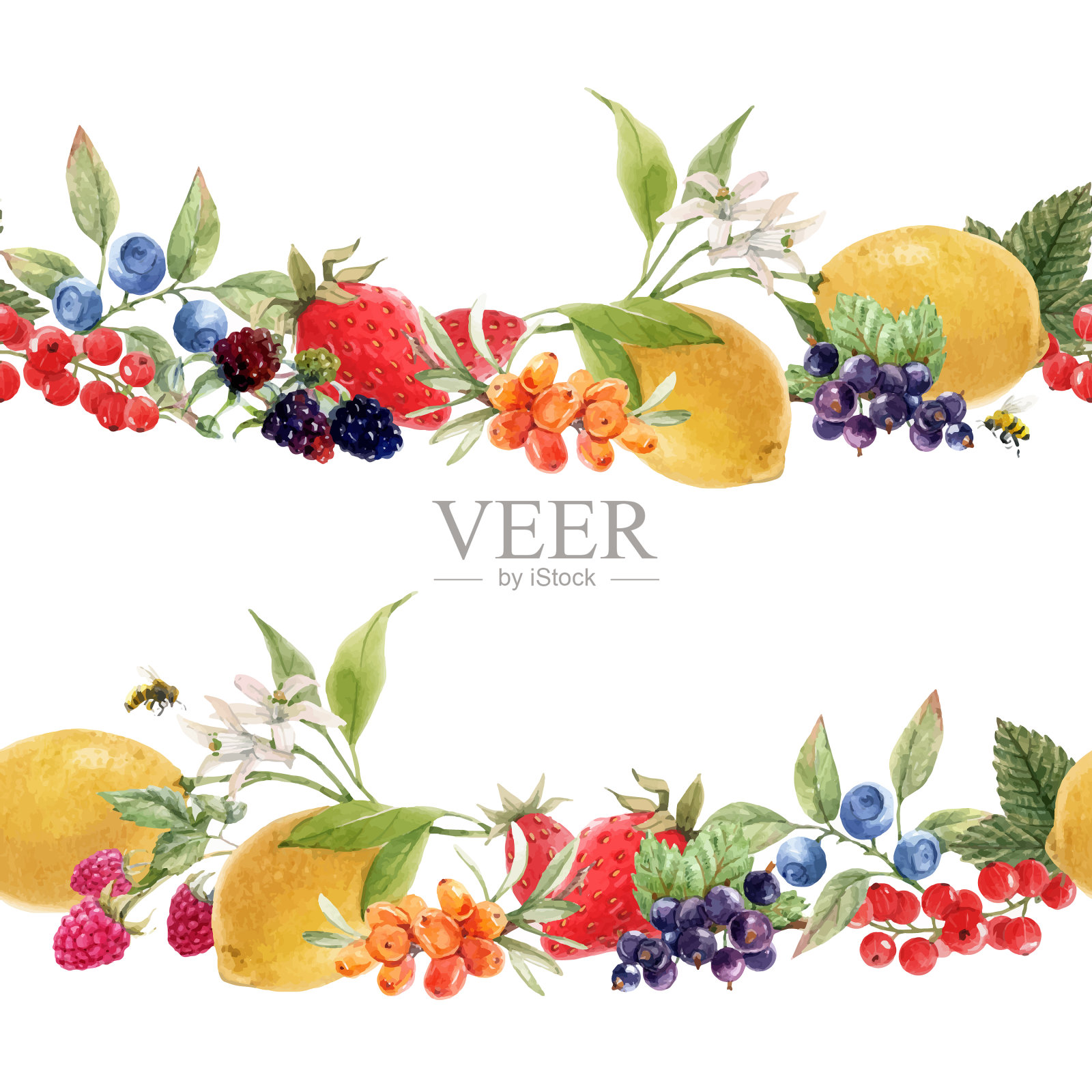 美丽的无缝浆果图案插画图片素材