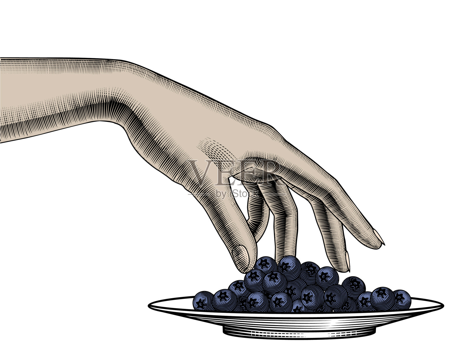 白底上女子手中的新鲜浆果设计元素图片