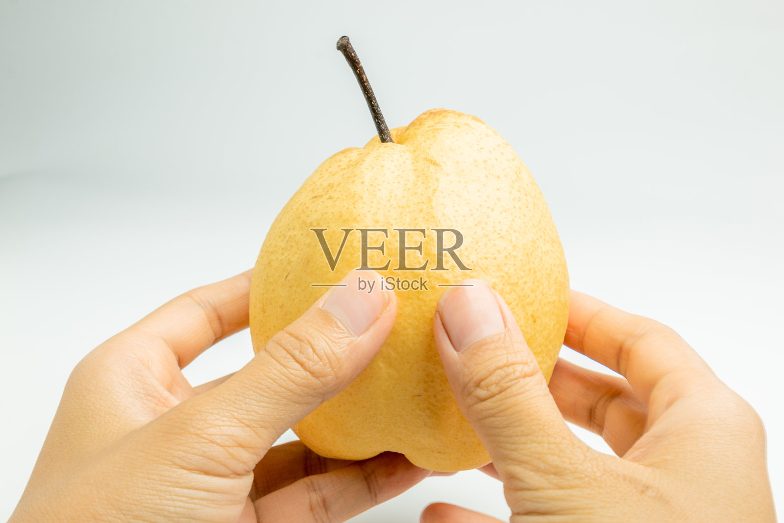 年轻女子手抓白底上孤立的中国梨。照片摄影图片