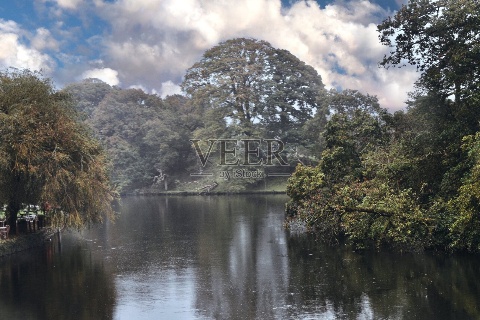 河边景色郁郁葱葱的树叶和神话般的树反射照片摄影图片