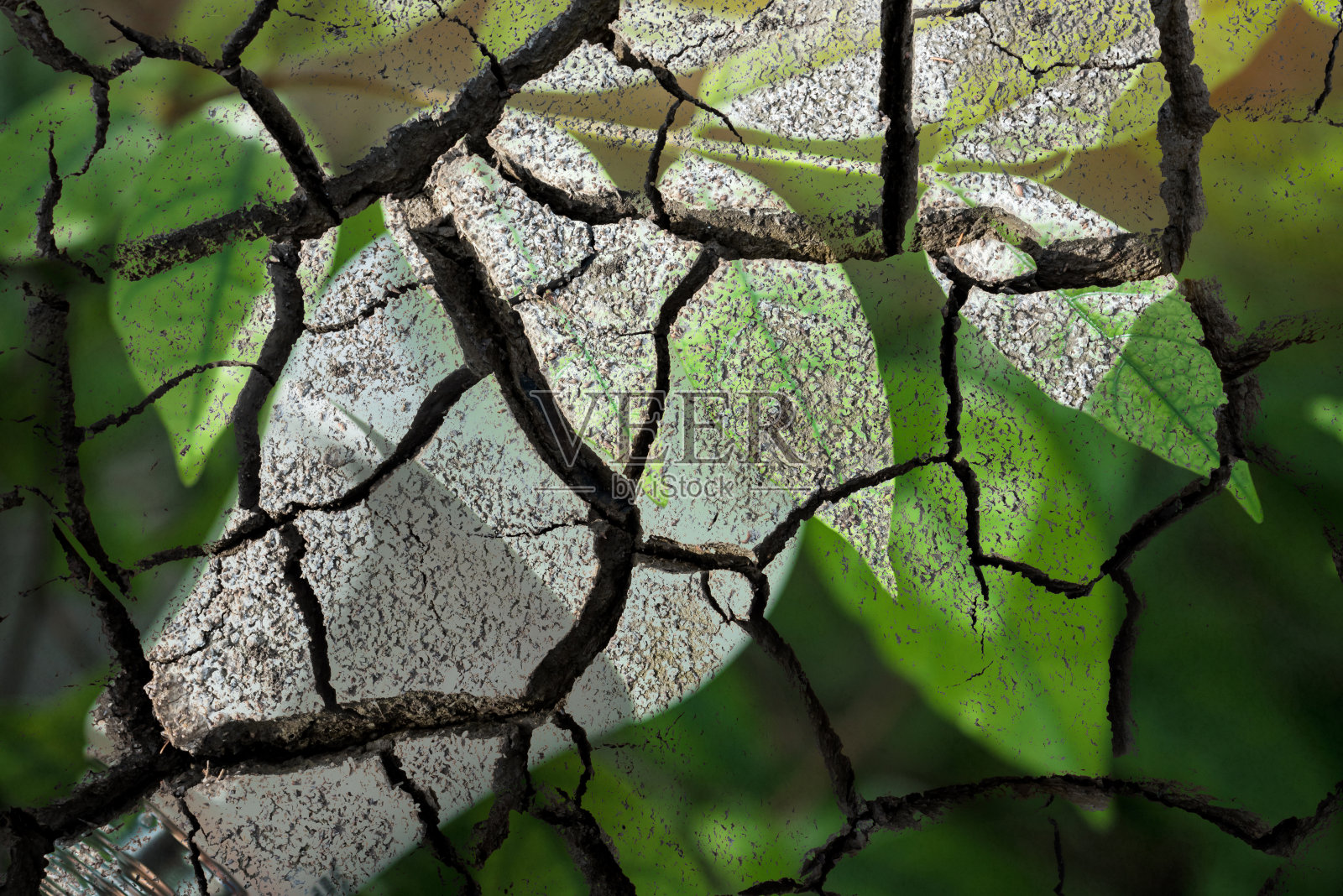 节能LED灯泡ECO与环境照片摄影图片