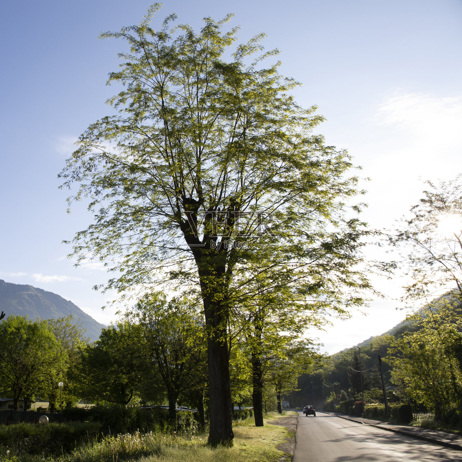 日出时乡村公路风景照片摄影图片