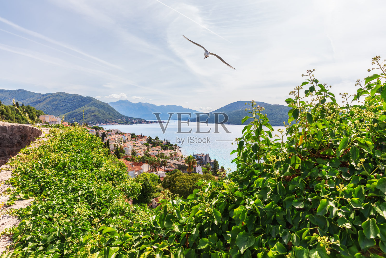 美丽的Herceg Novi航空海岸，黑山照片摄影图片