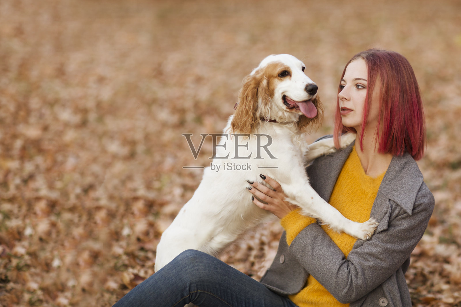 年轻美丽的女人玩和拥抱狗在秋天的户外照片摄影图片