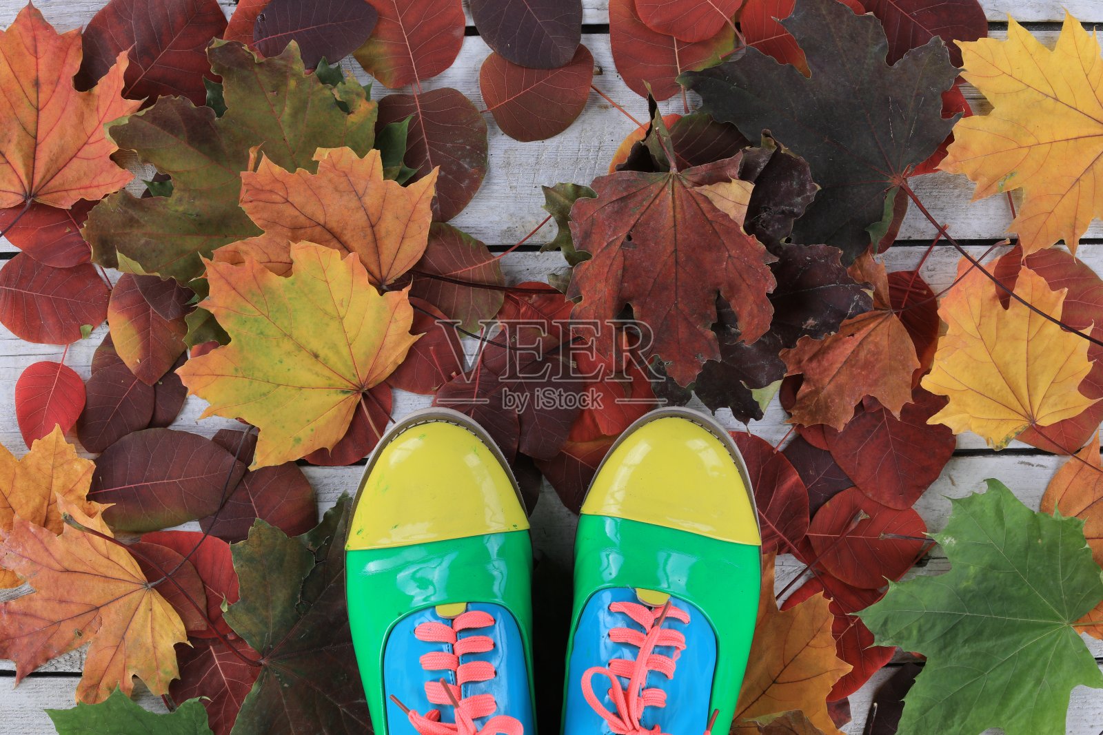 运动鞋，秋叶背景红红的照片摄影图片