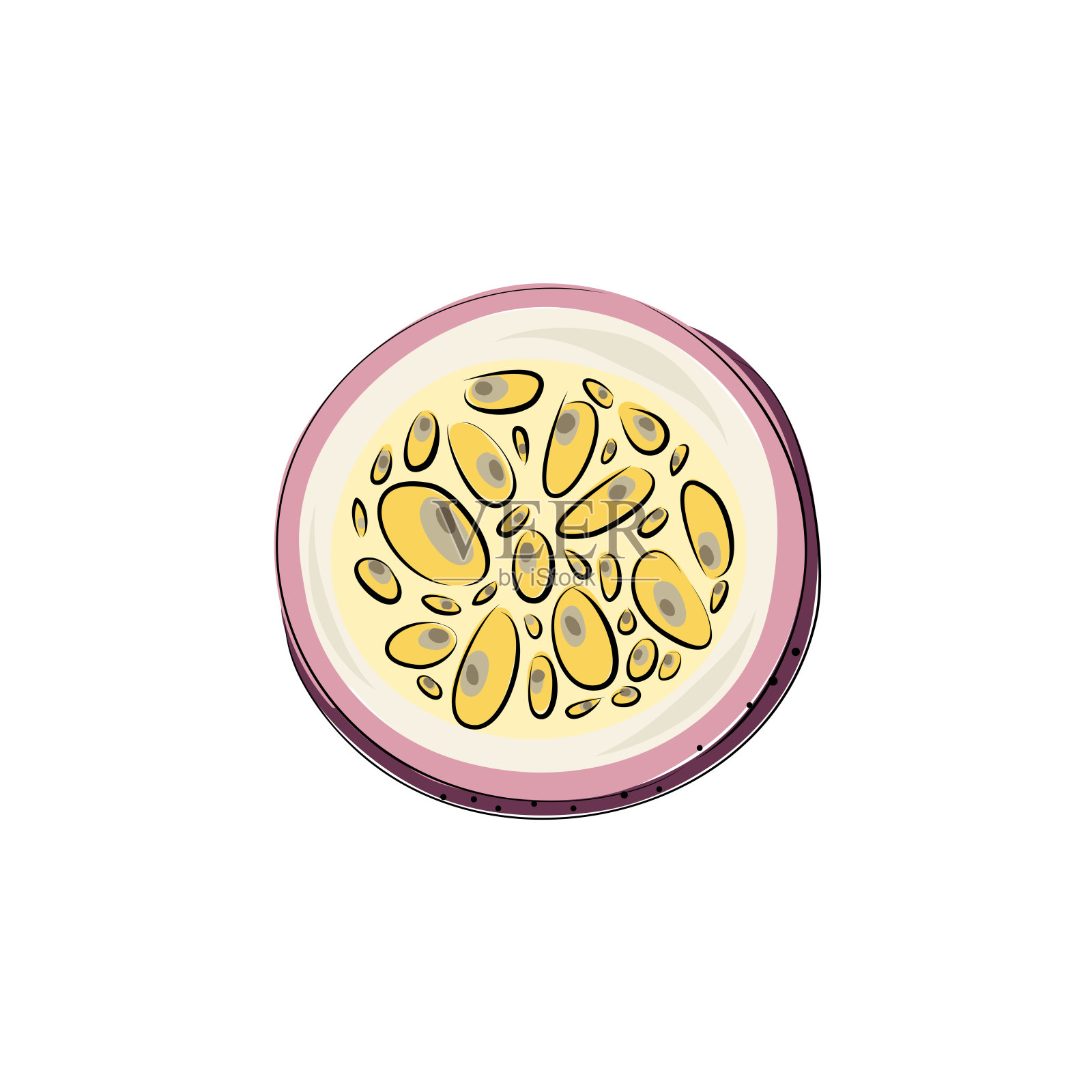 向量集合百香果，百香果，紫玛丽莎的颜色。在白色背景上剪几片插画图片素材