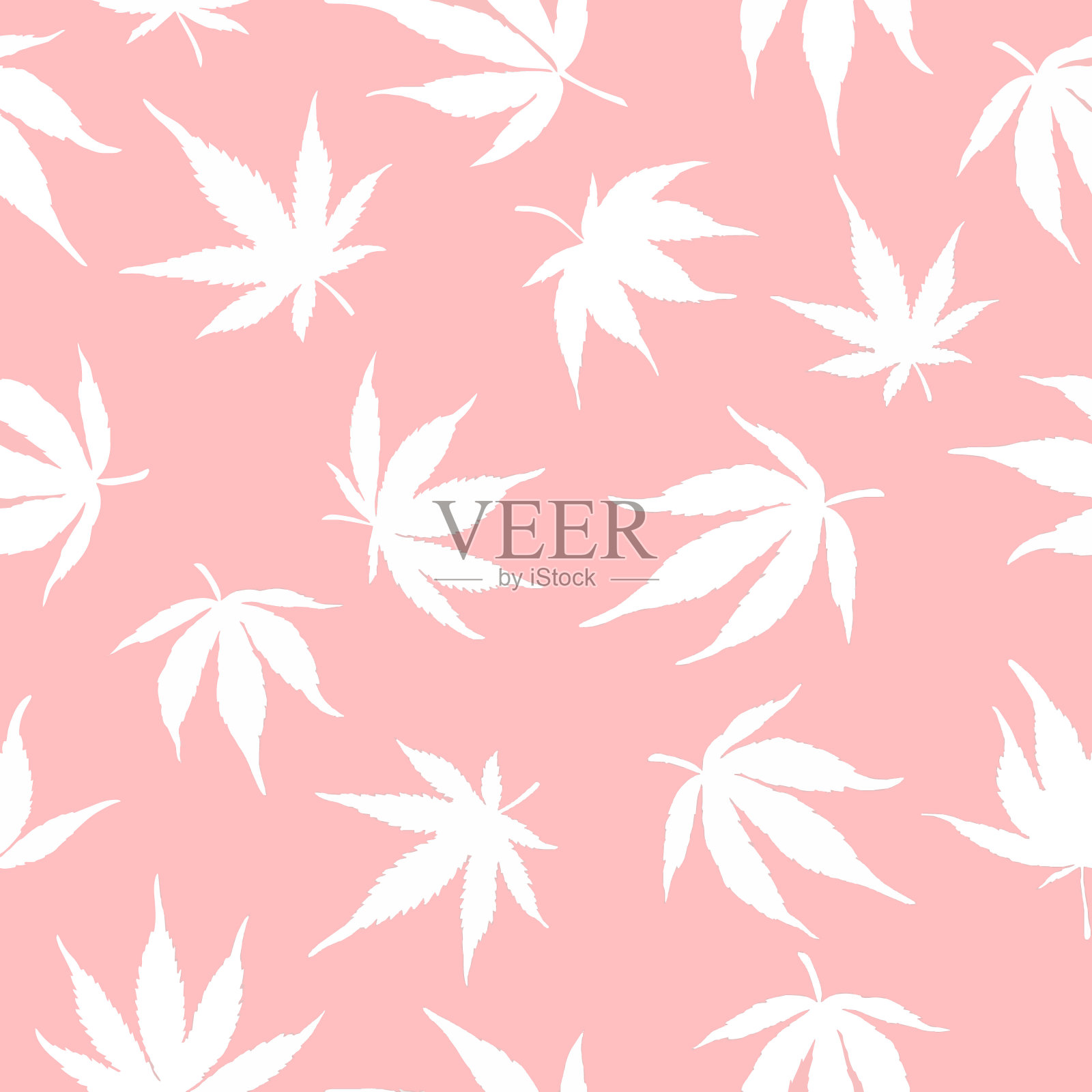 无缝模式的白色大麻在粉红色的背景。白色的大麻叶子在粉红色的背景上。大麻模式插画图片素材
