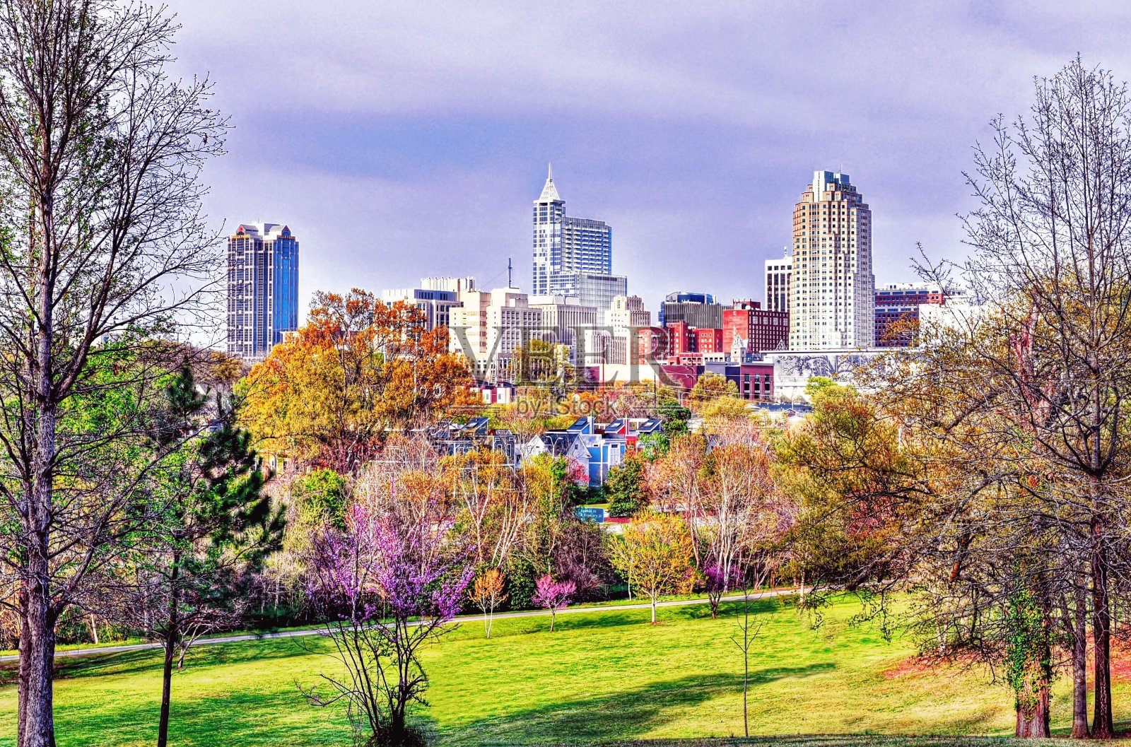 北卡罗来纳州罗利市的薰衣草天际线照片摄影图片