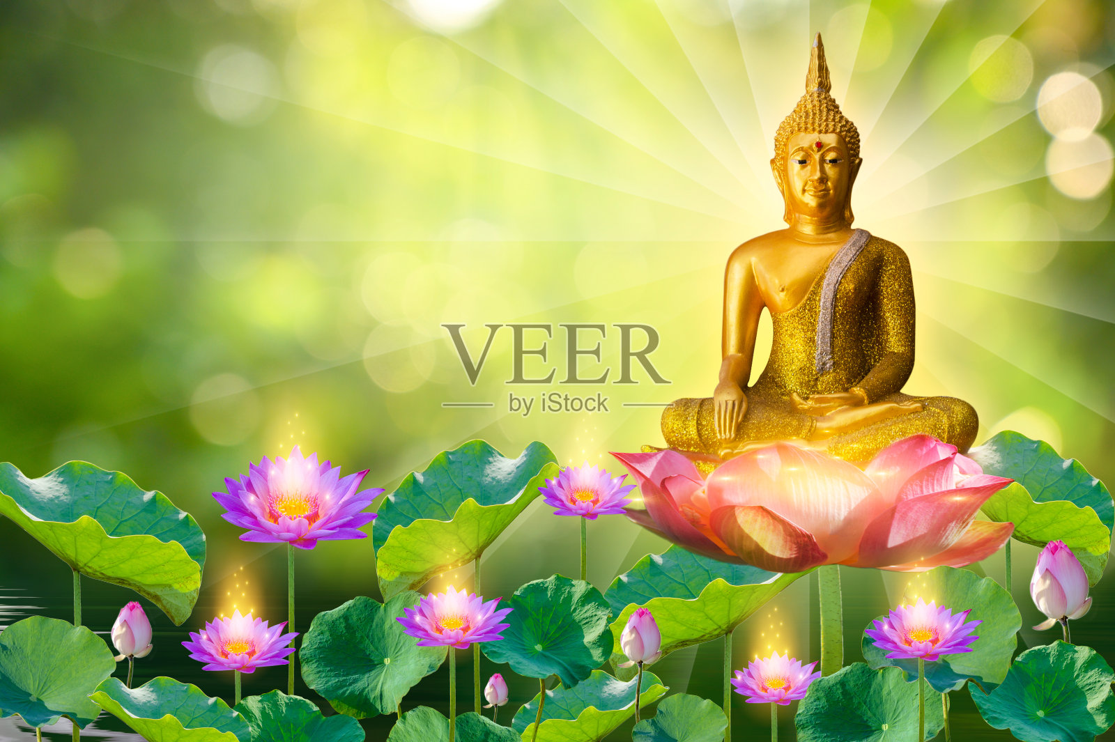 佛像水莲花佛站在莲花上在橙色的背景照片摄影图片