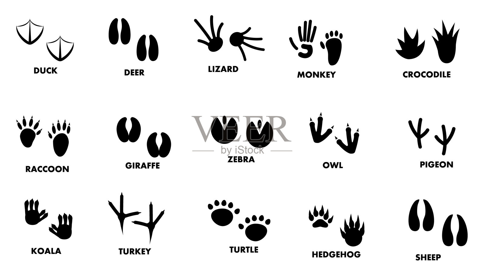 Set Abstract Collection Black footprint Wild Animals Vector Design Style插图插画图片素材