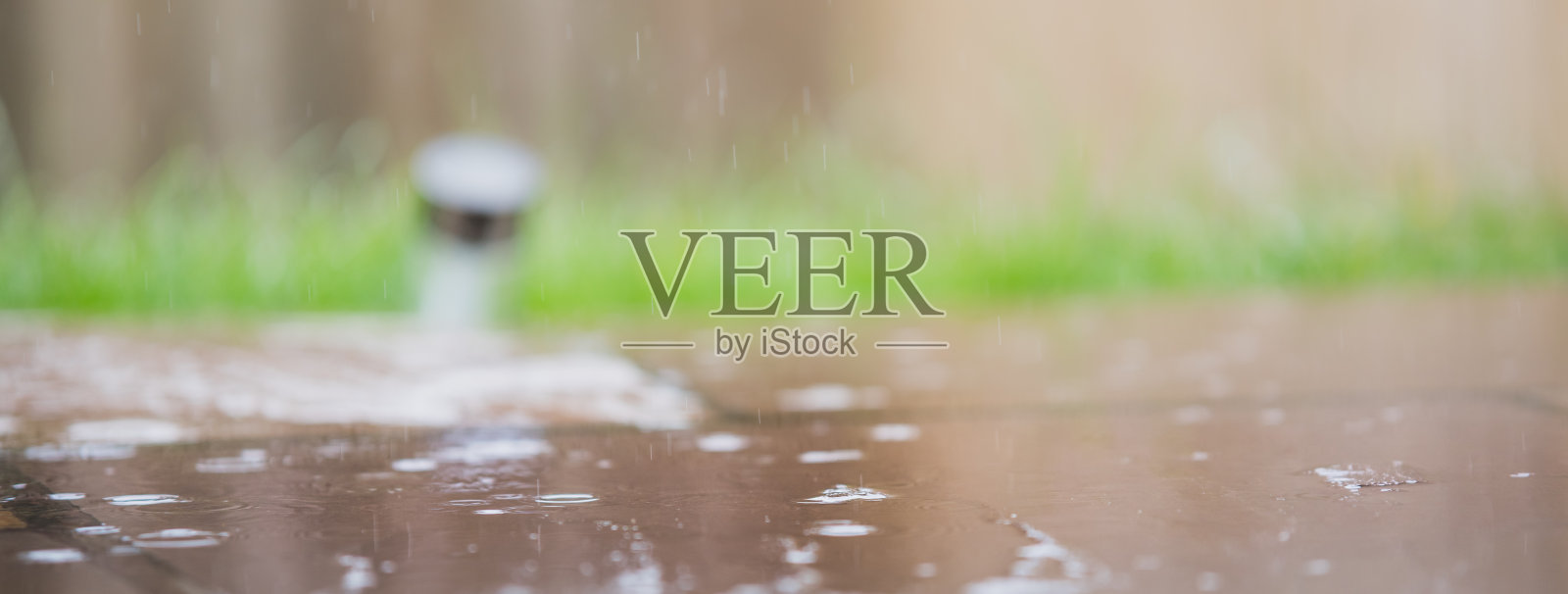 在暴风雨潮湿的天气中模糊的花园庭院照片摄影图片