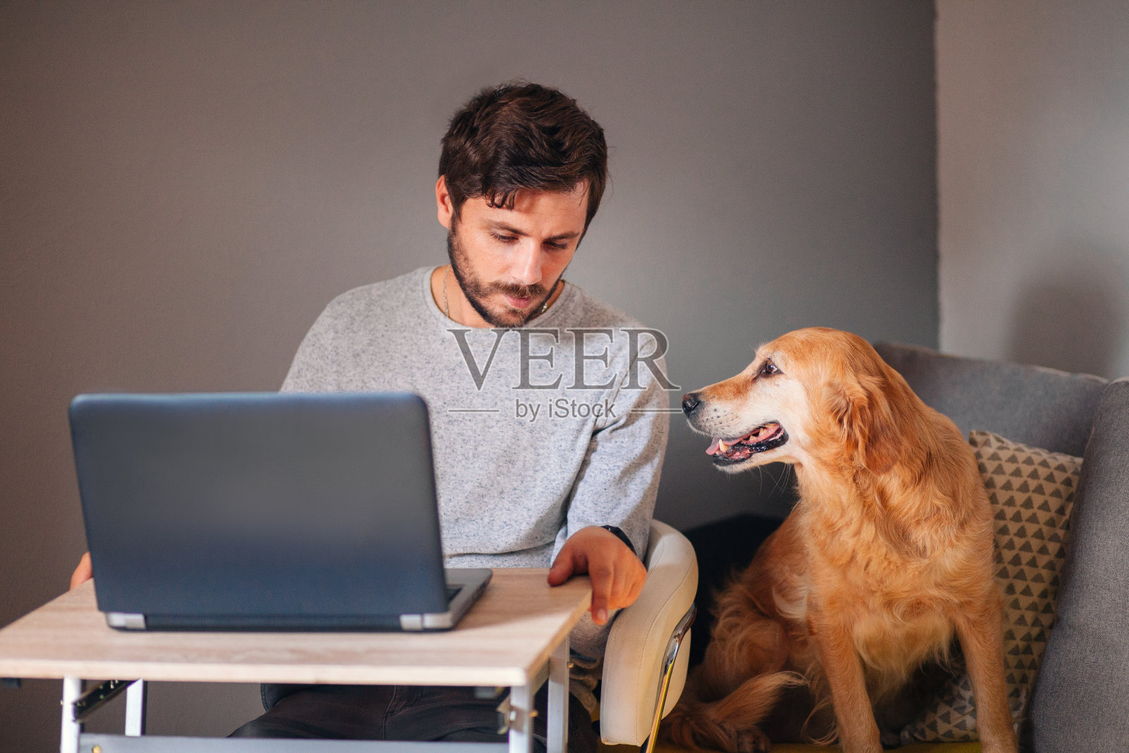 一个年轻人在家和他的狗一起工作照片摄影图片