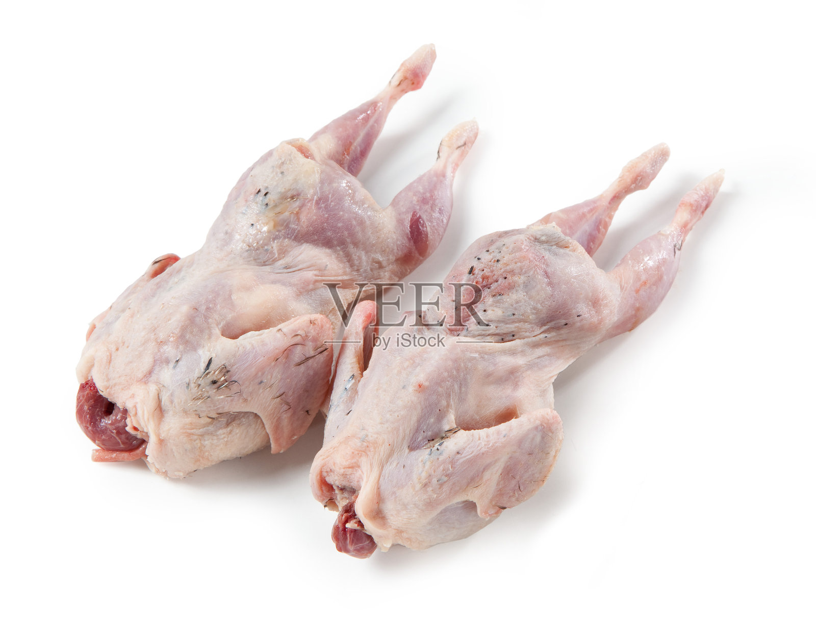 孤立的两只完整的生鹌鹑照片摄影图片