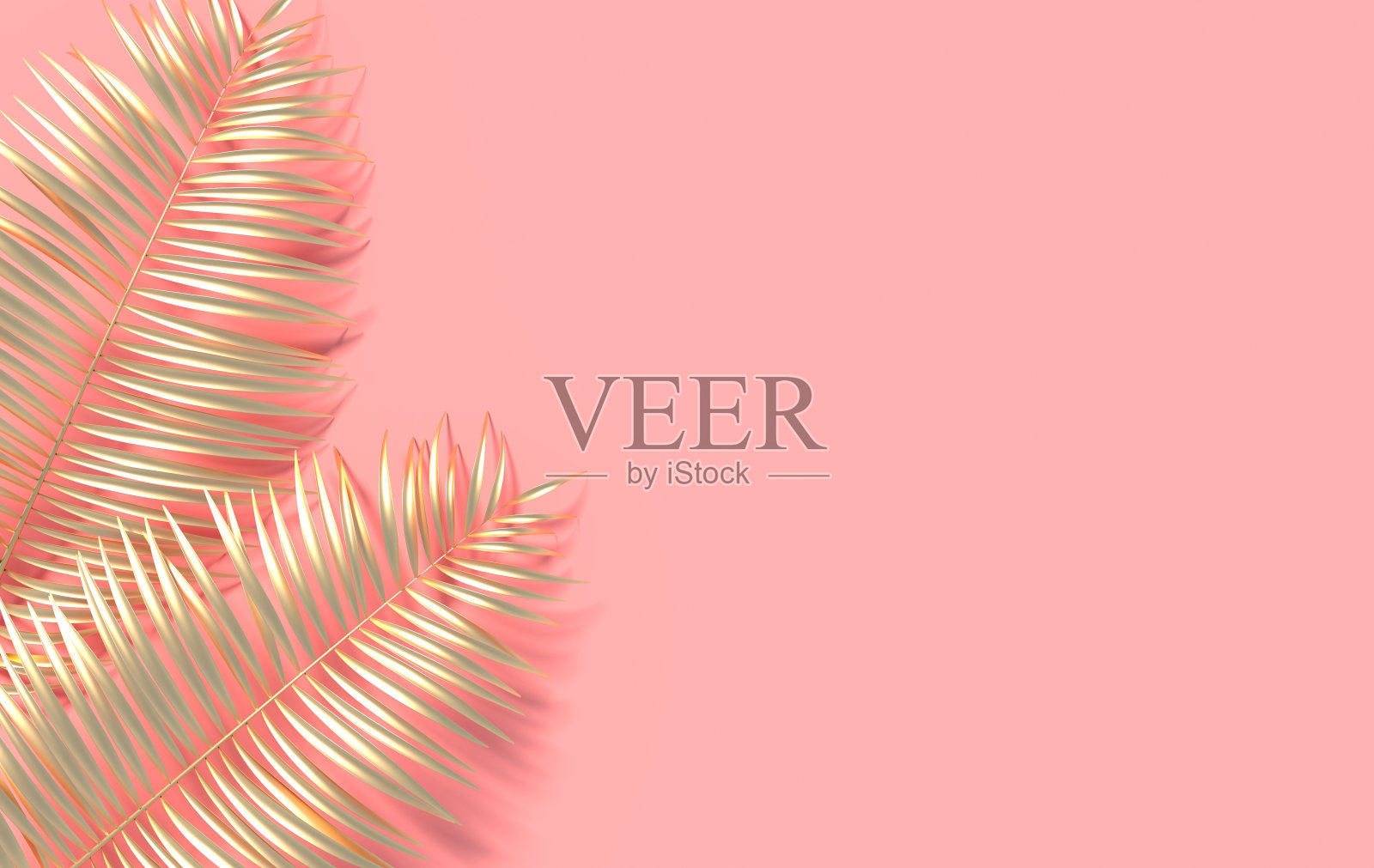 热带棕榈叶背景。夏季热带叶。异国情调的夏威夷丛林，夏季派对设计时髦的海报，传单，横幅，卡片，封面，小册子。3 d渲染。照片摄影图片