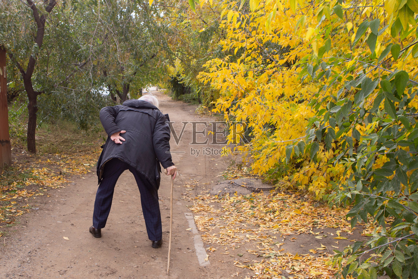 老人在秋天的森林里照片摄影图片