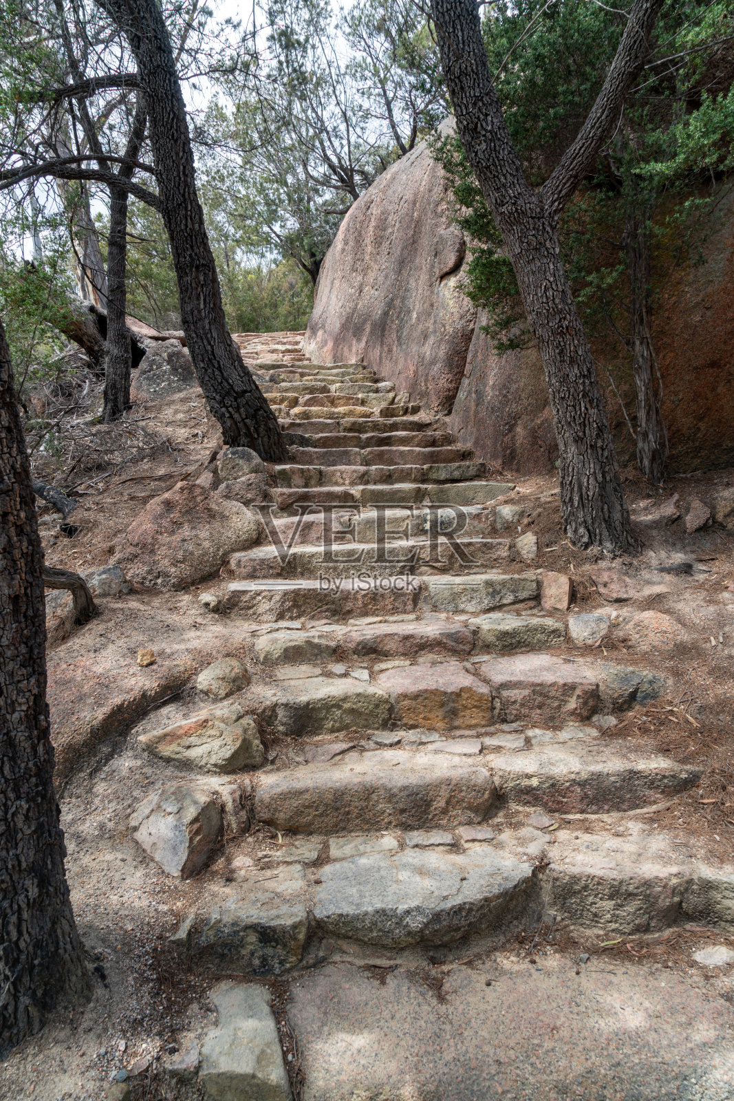 澳大利亚塔斯马尼亚州弗雷西内半岛的弗雷西内国家公园，通往葡萄酒杯湾和科尔斯湾的步道风景照片摄影图片