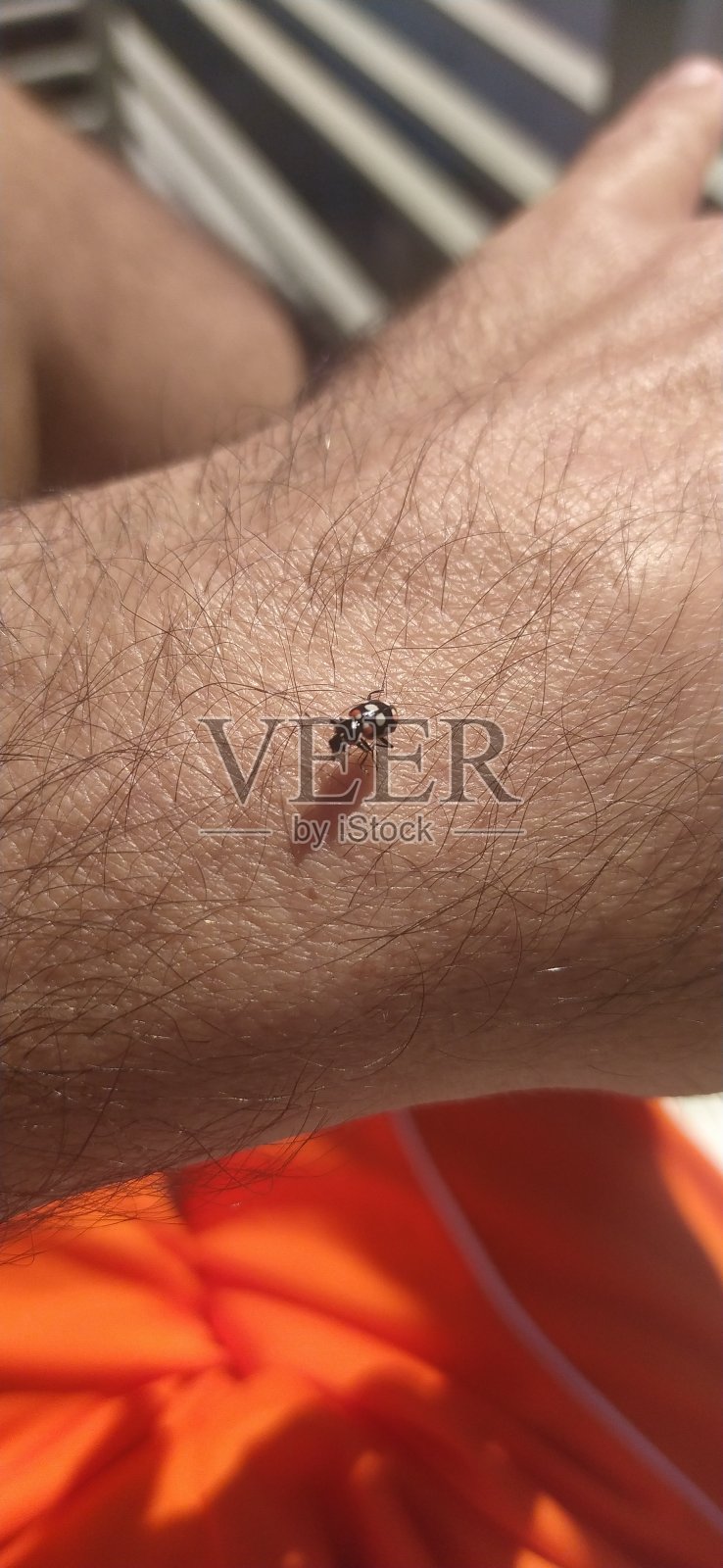 幸运的错误照片摄影图片