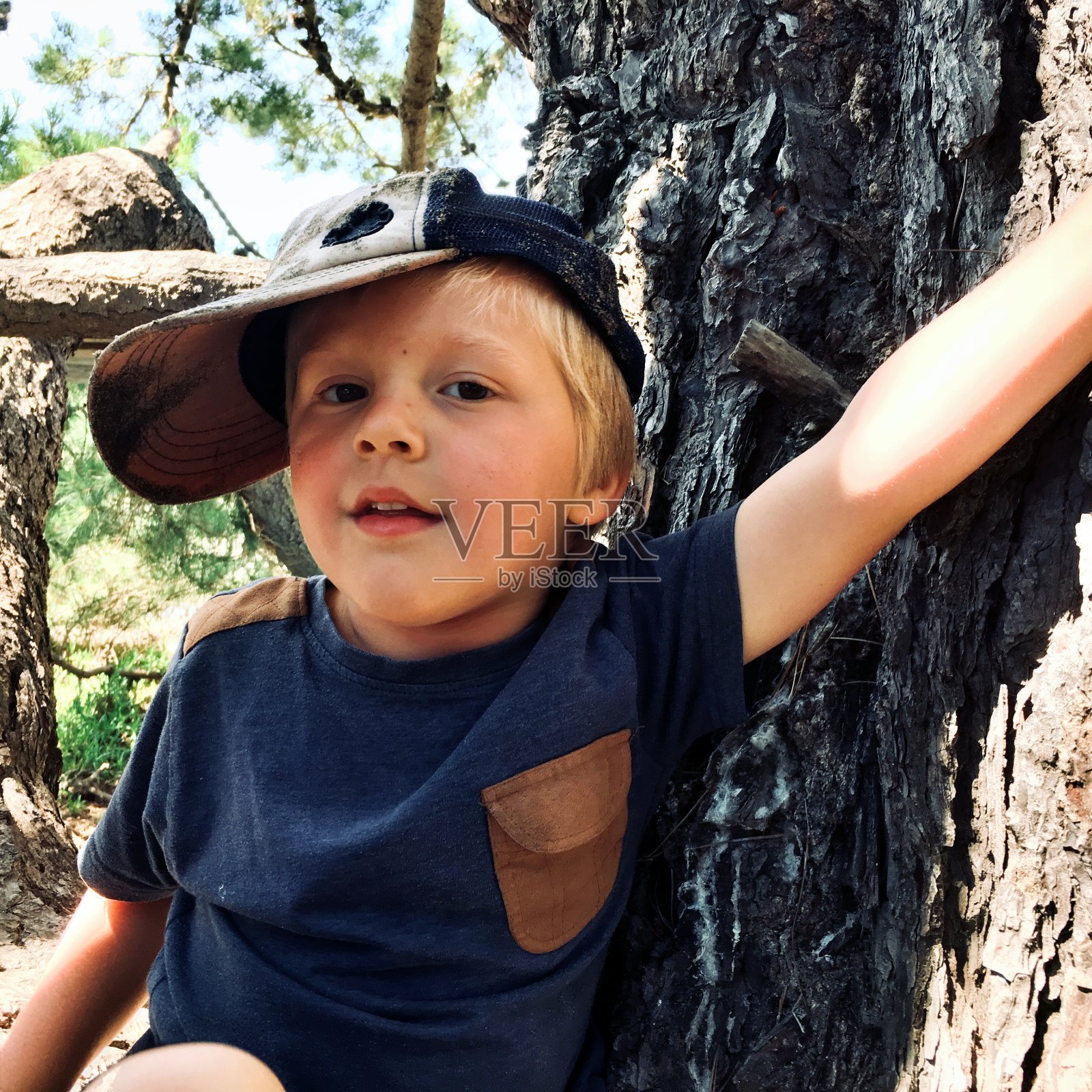 孩子在树照片摄影图片