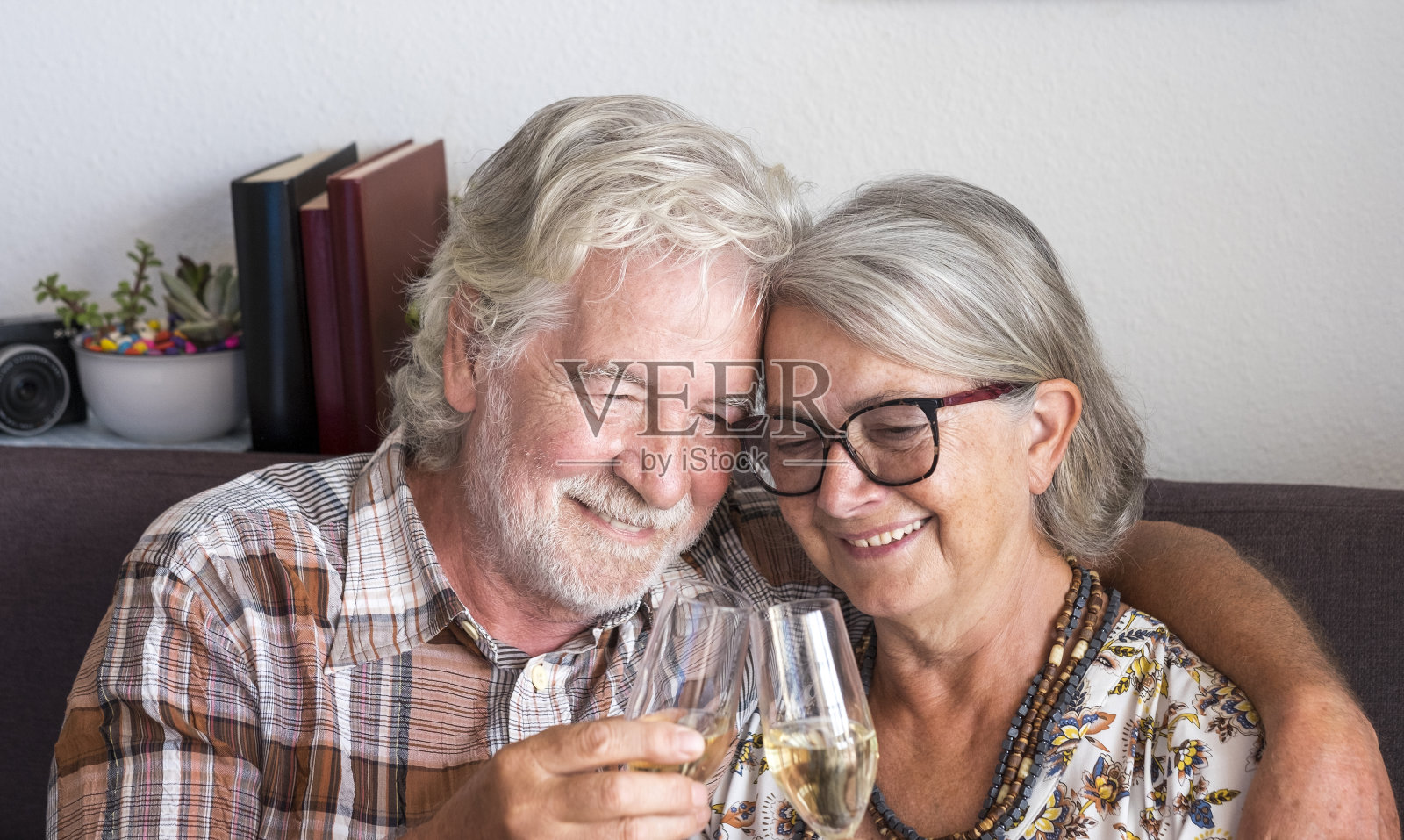 一对白发苍苍、手握酒杯的老夫妇在家中与两名活跃的退休老人干杯照片摄影图片