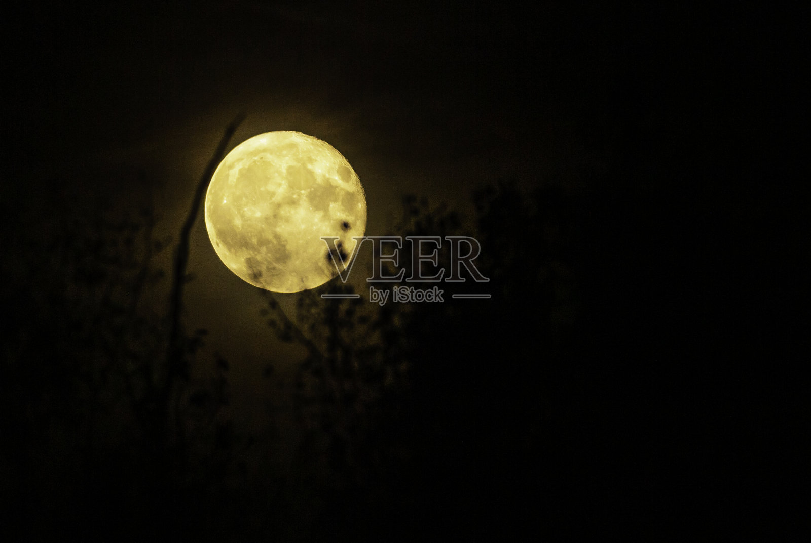 满月2020照片摄影图片