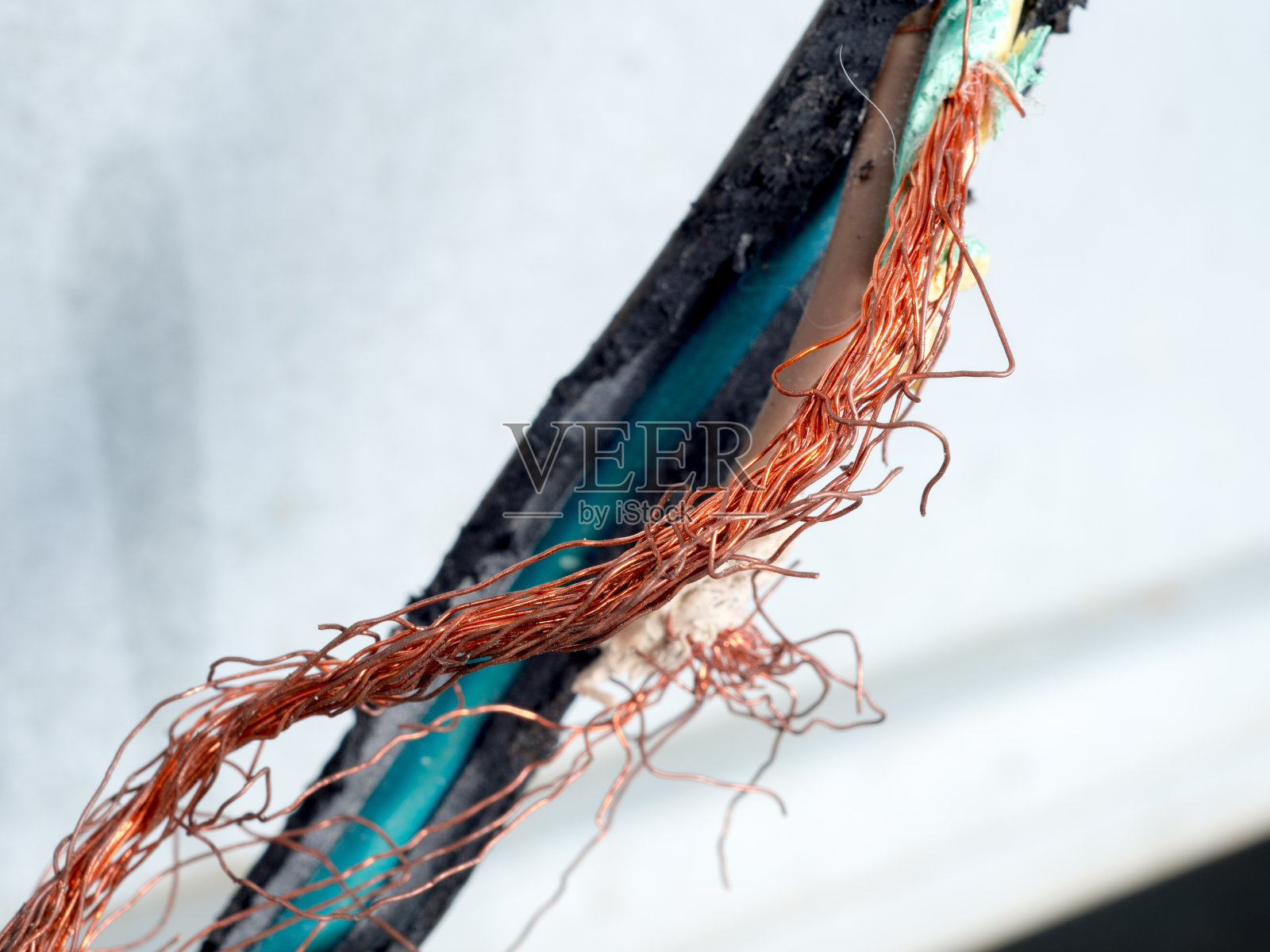 电线损坏，电线被老鼠咬断照片摄影图片