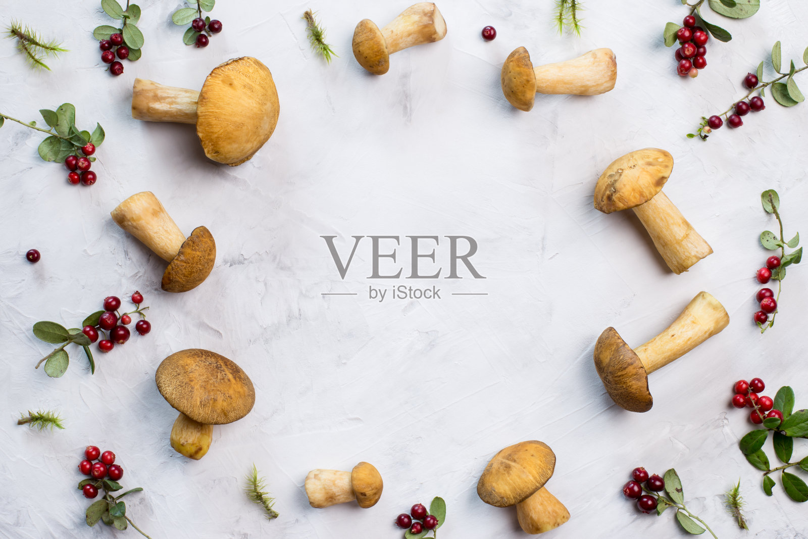 散落的蘑菇和秋天的蔓越莓在一个明亮的背景，中间有一个自由的空间。照片摄影图片