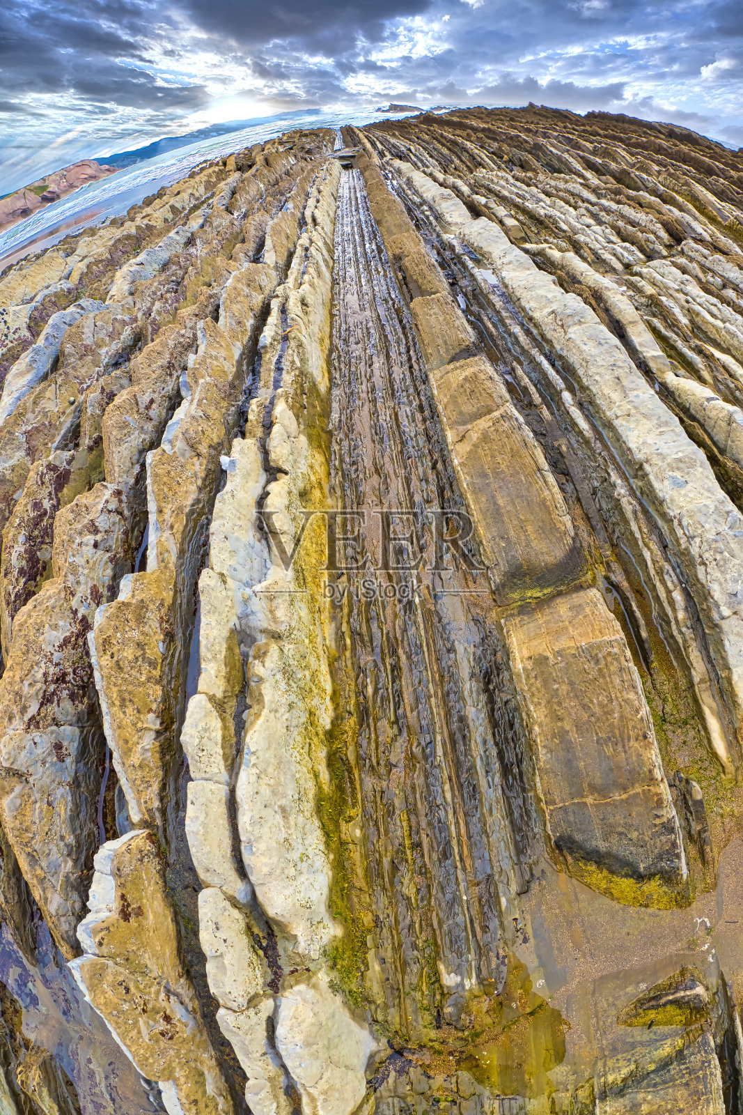 陡峭倾斜的弗莱施层，巴斯克海岸联合国教科文组织世界地质公园，西班牙照片摄影图片