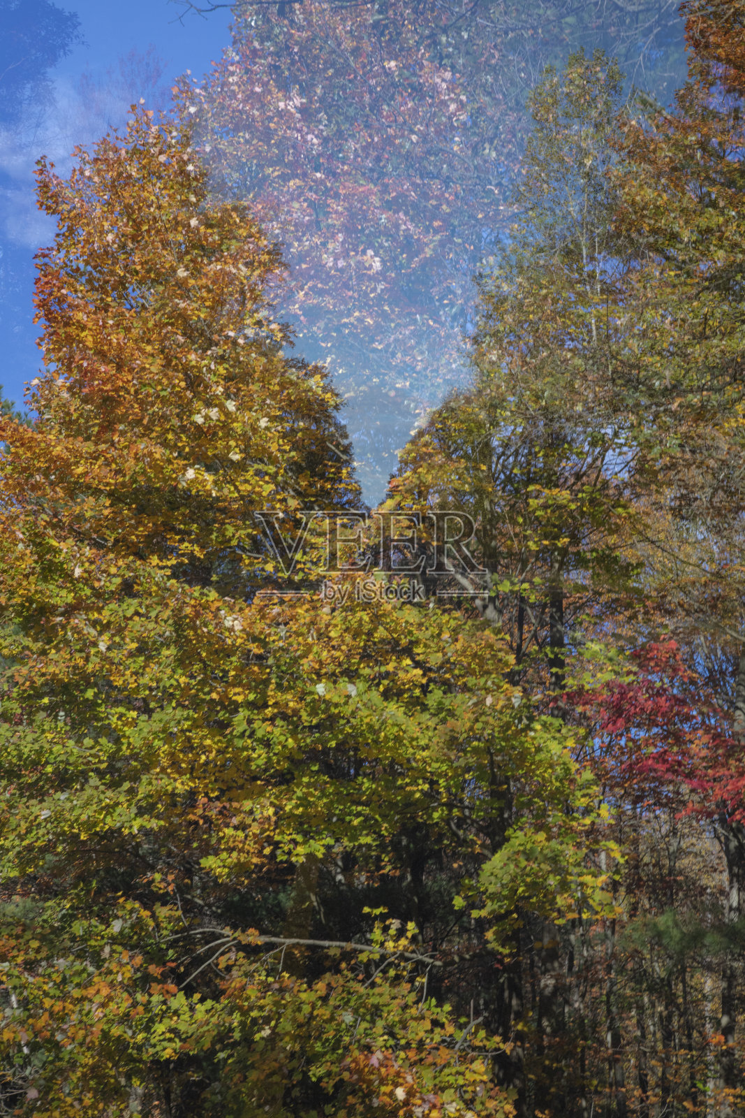 双重曝光秋色照片摄影图片