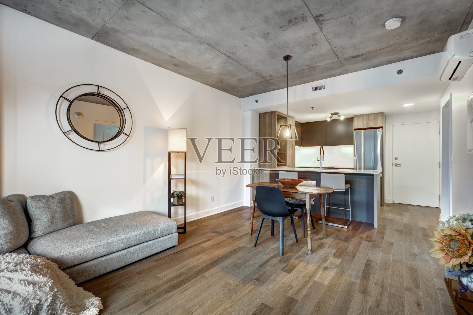 加拿大公寓在新的公寓大楼在格里芬镇，蒙特利尔地区照片摄影图片