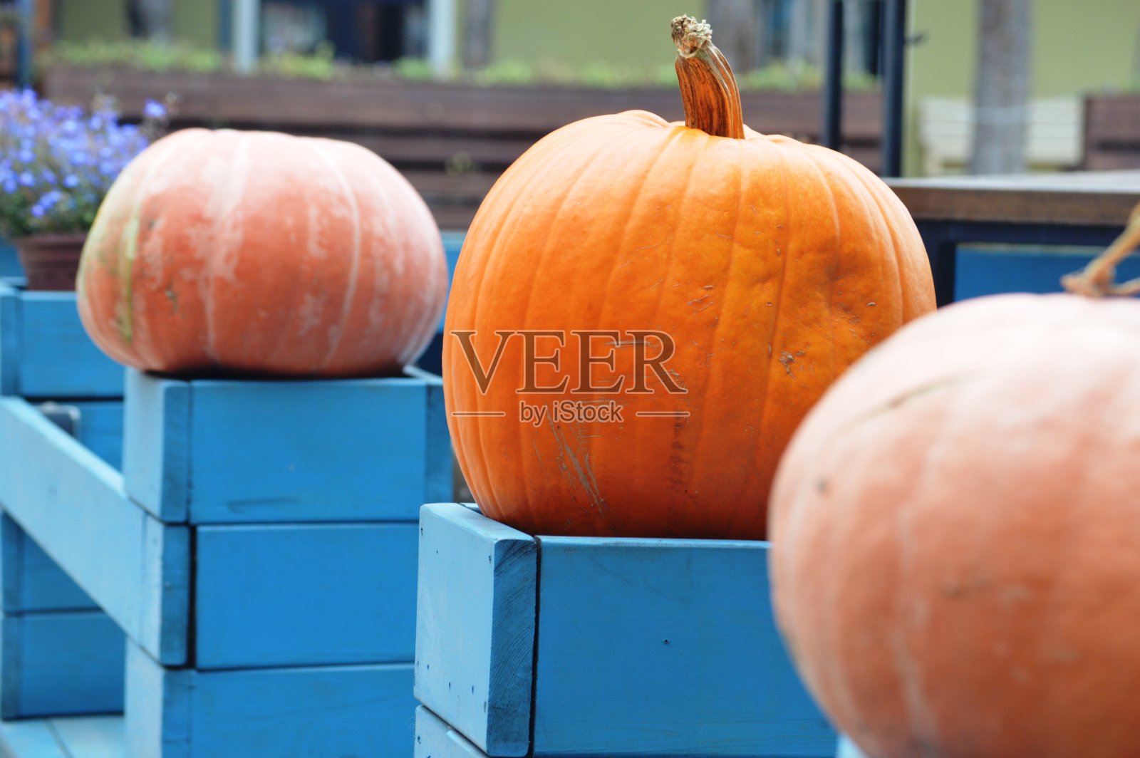 聚会，派对照片摄影图片