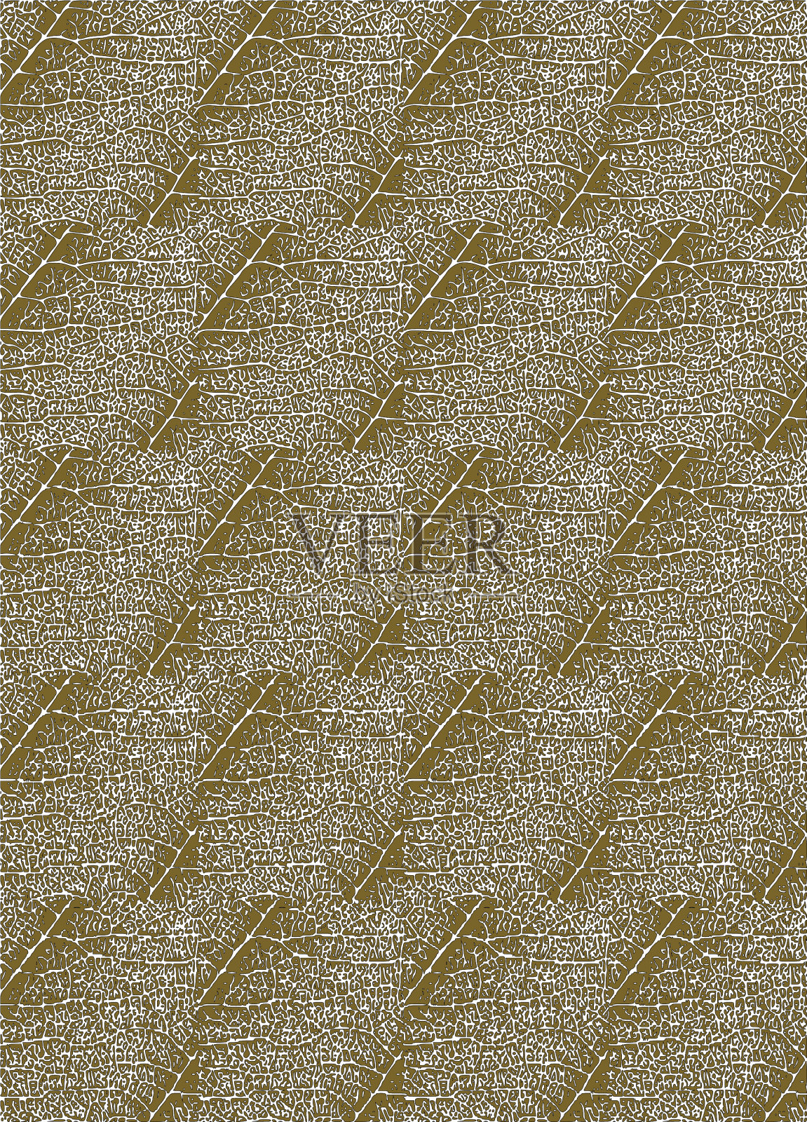 叶型纹理插画图片素材