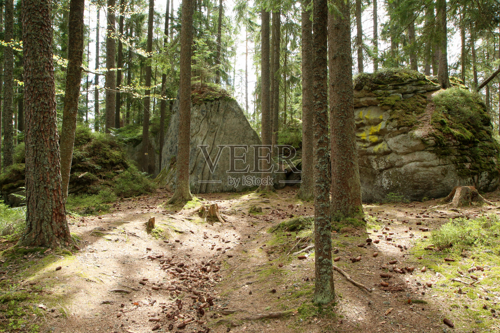 在捷克共和国Šumava国家公园的森林深处的岩石。照片摄影图片