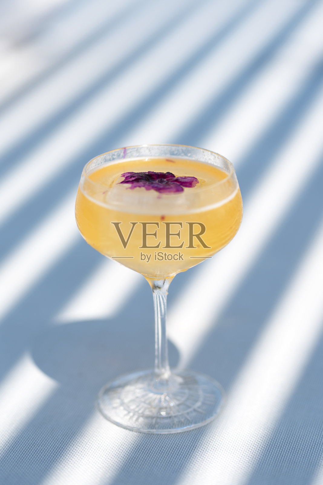 夏日的热带情调与艺术几何阴影。照片摄影图片