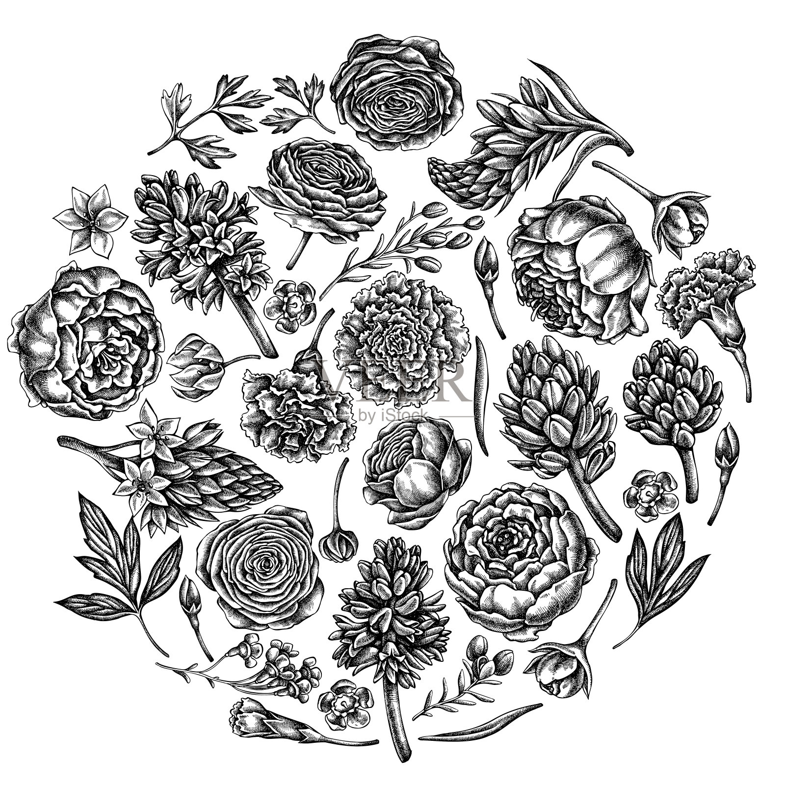 圆形花型，花色有黑白牡丹、康乃馨、毛茛、蜡花、鸟粪花、风信子插画图片素材