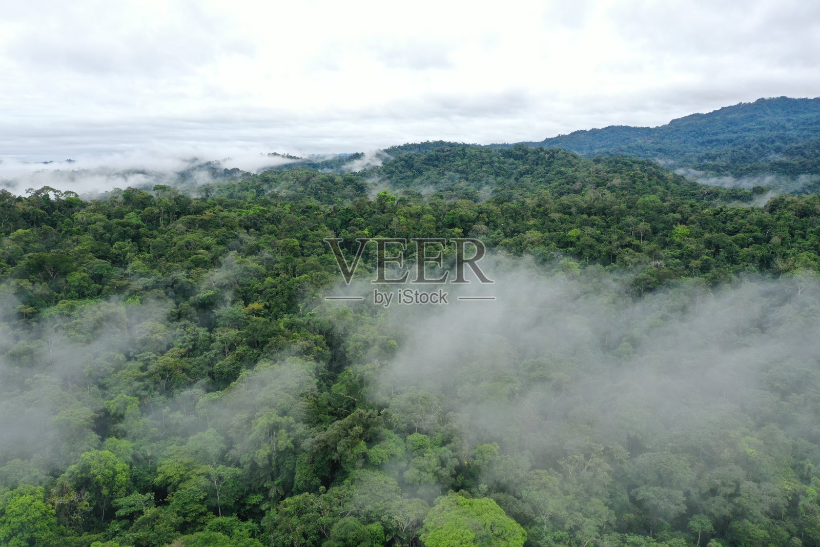 鸟瞰图显示薄雾是覆盖在热带雨林的树冠照片摄影图片