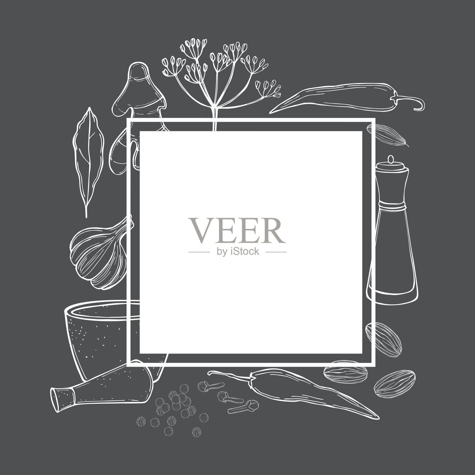 矢量框架与香料和香草。插画图片素材