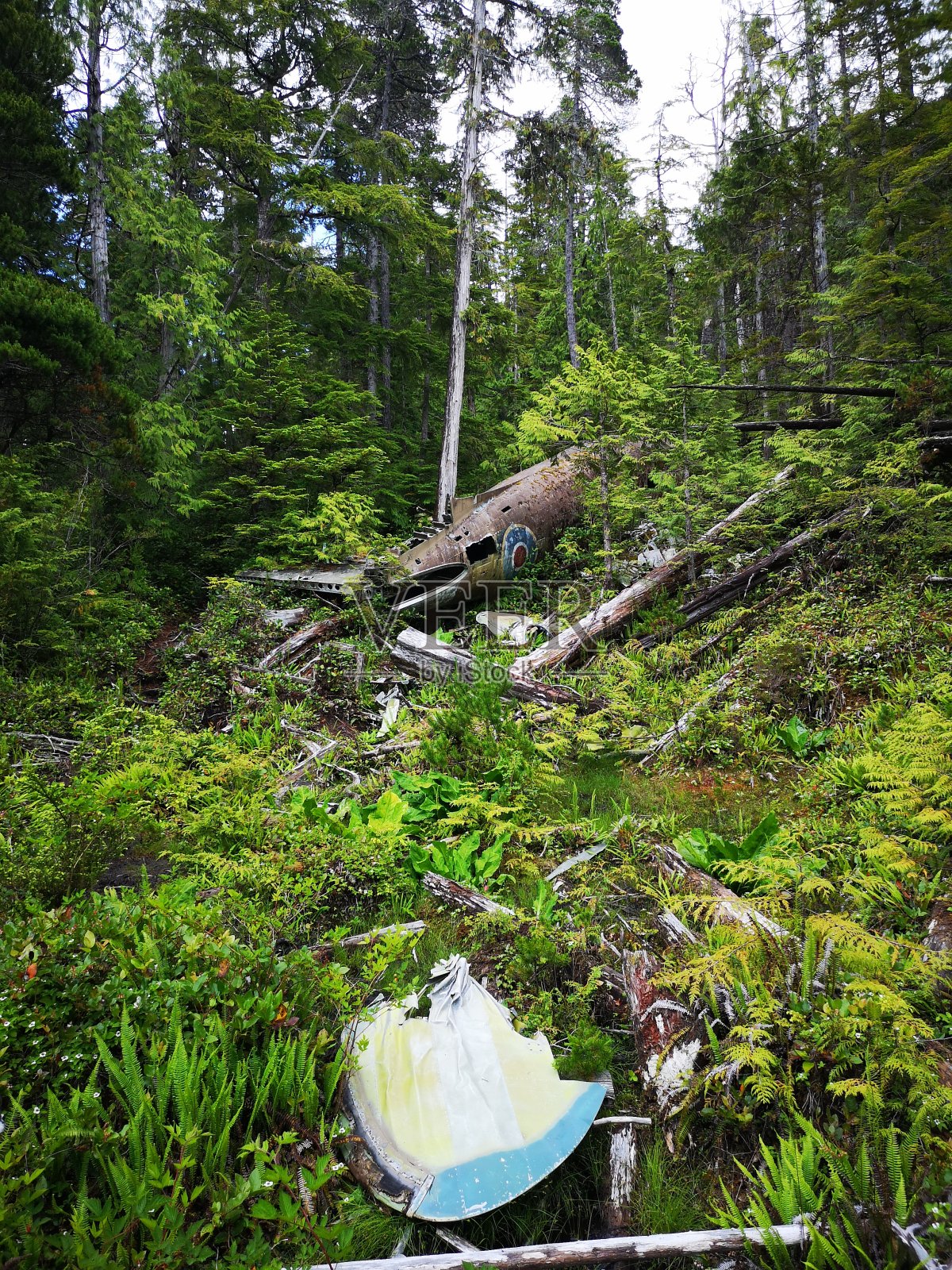 达科塔576 -坠机现场照片摄影图片