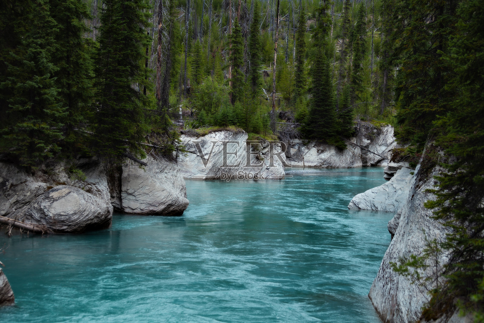 加拿大不列颠哥伦比亚省的绿松石河照片摄影图片