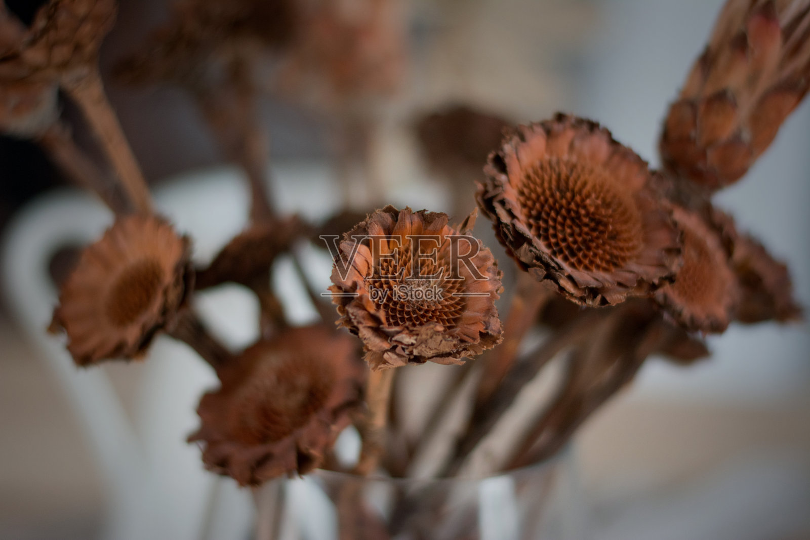 花装饰照片摄影图片