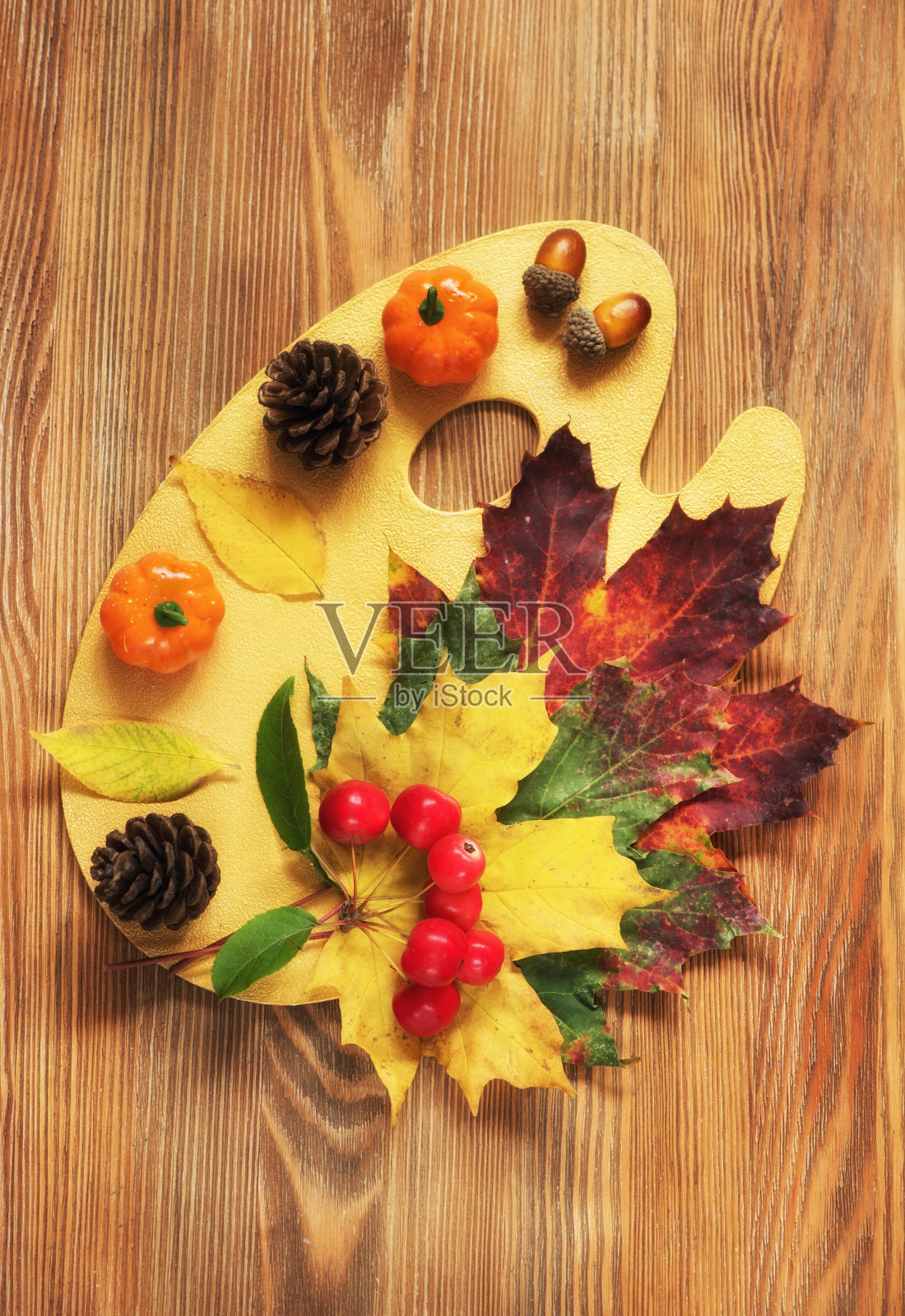 来自南瓜，苹果和落叶的节日装饰，俯视图。秋天创意概念照片摄影图片