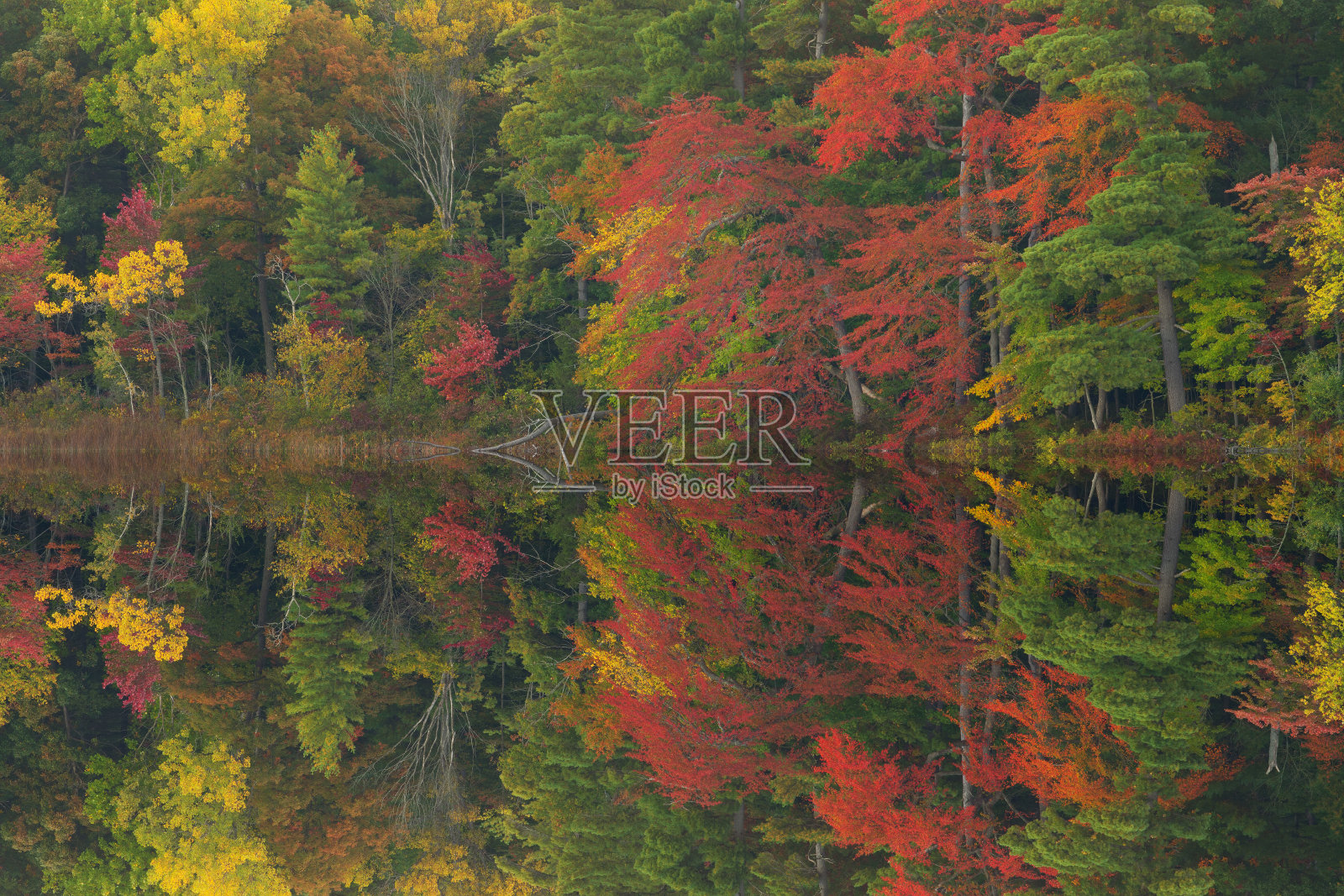 秋影龙湖照片摄影图片