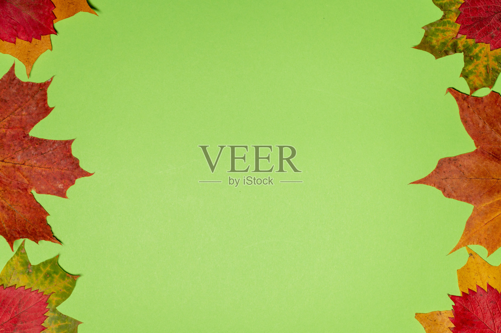 颜色的框架秋天枫叶在一个绿色的背景。平坦的秋季模拟与复制空间。照片摄影图片