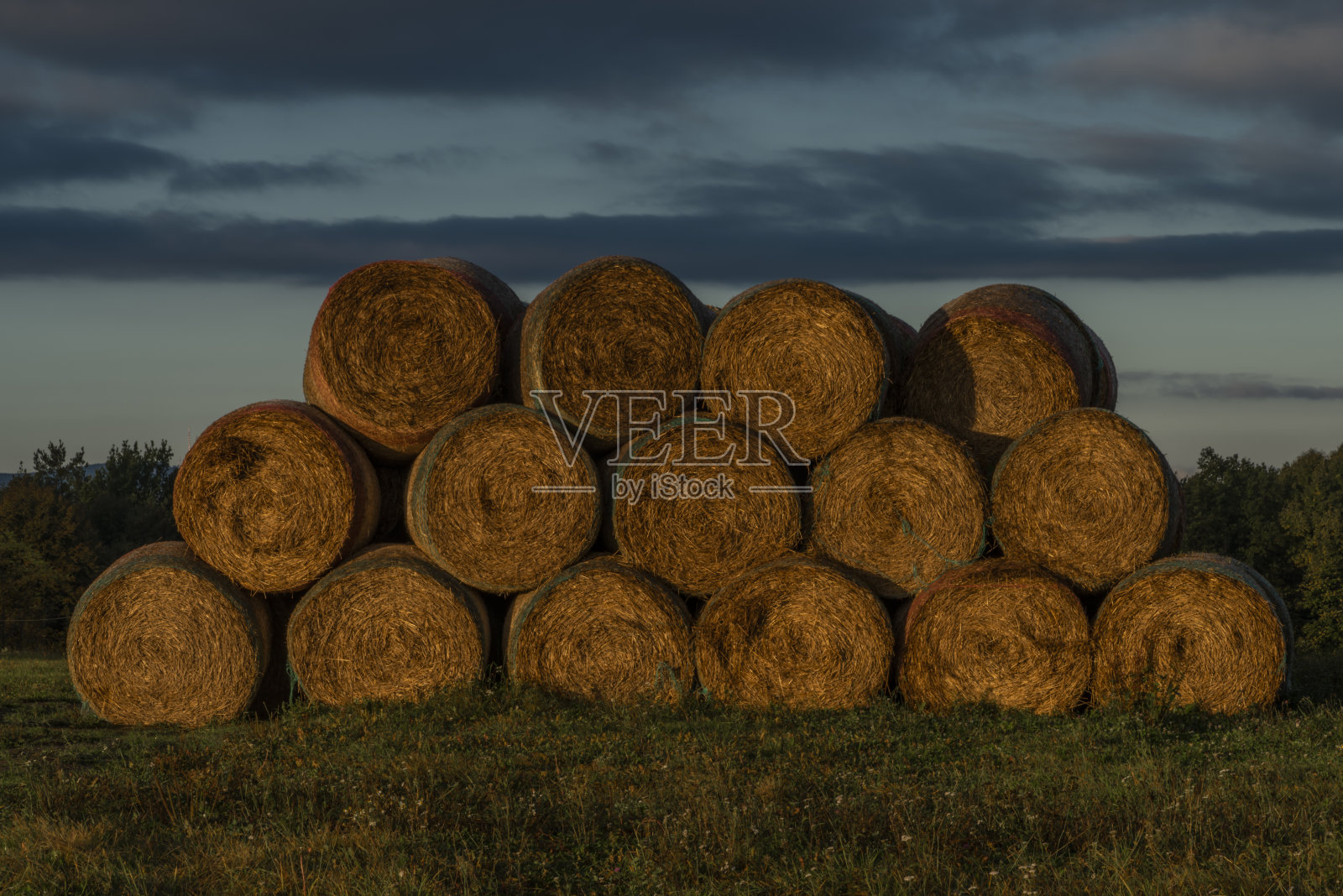 秋天日出时分，Ceske Budejovice镇附近的田野上干草球照片摄影图片