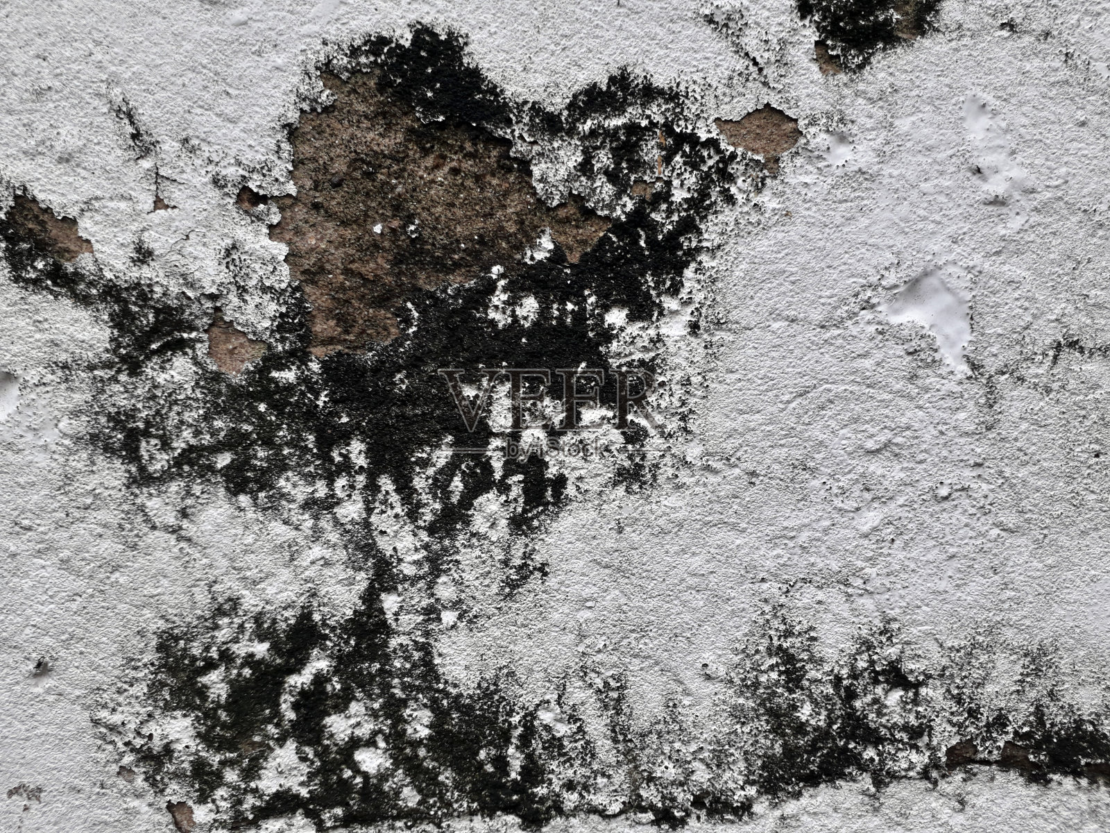 灰色的水泥墙照片摄影图片